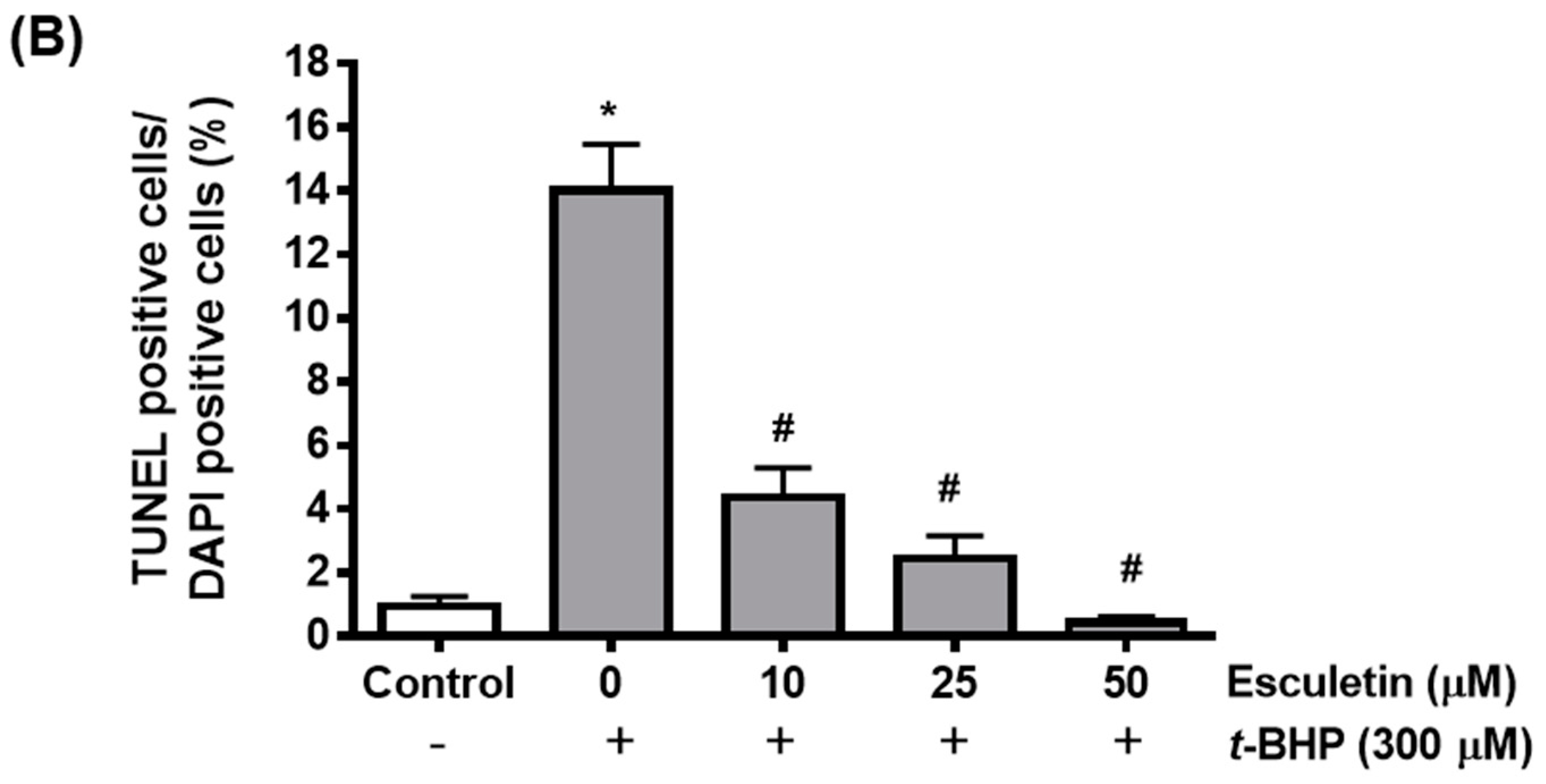 Molecules 27 08970 g002b Molecules 27 08970 g002b