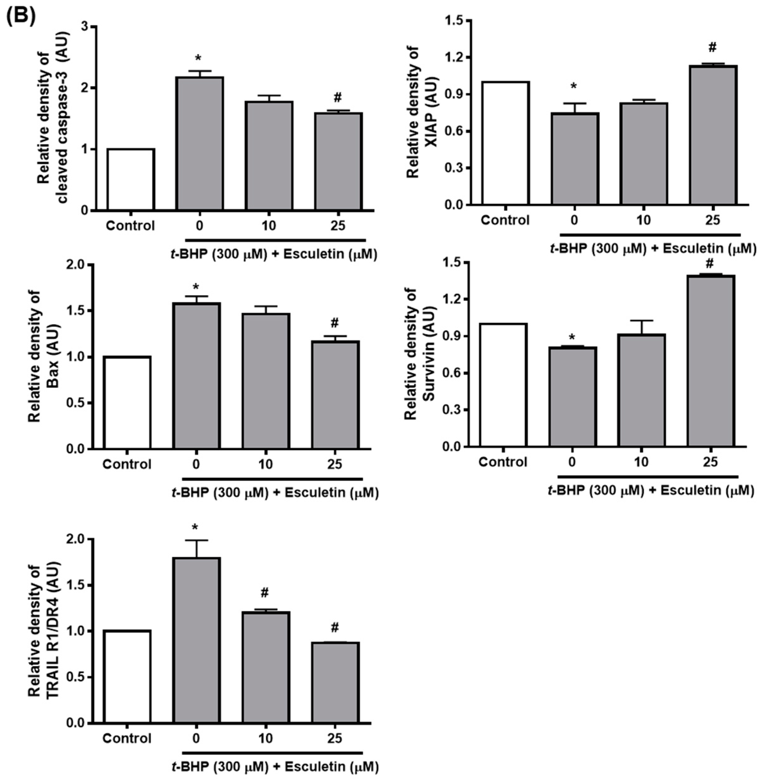 Molecules 27 08970 g003b Molecules 27 08970 g003b