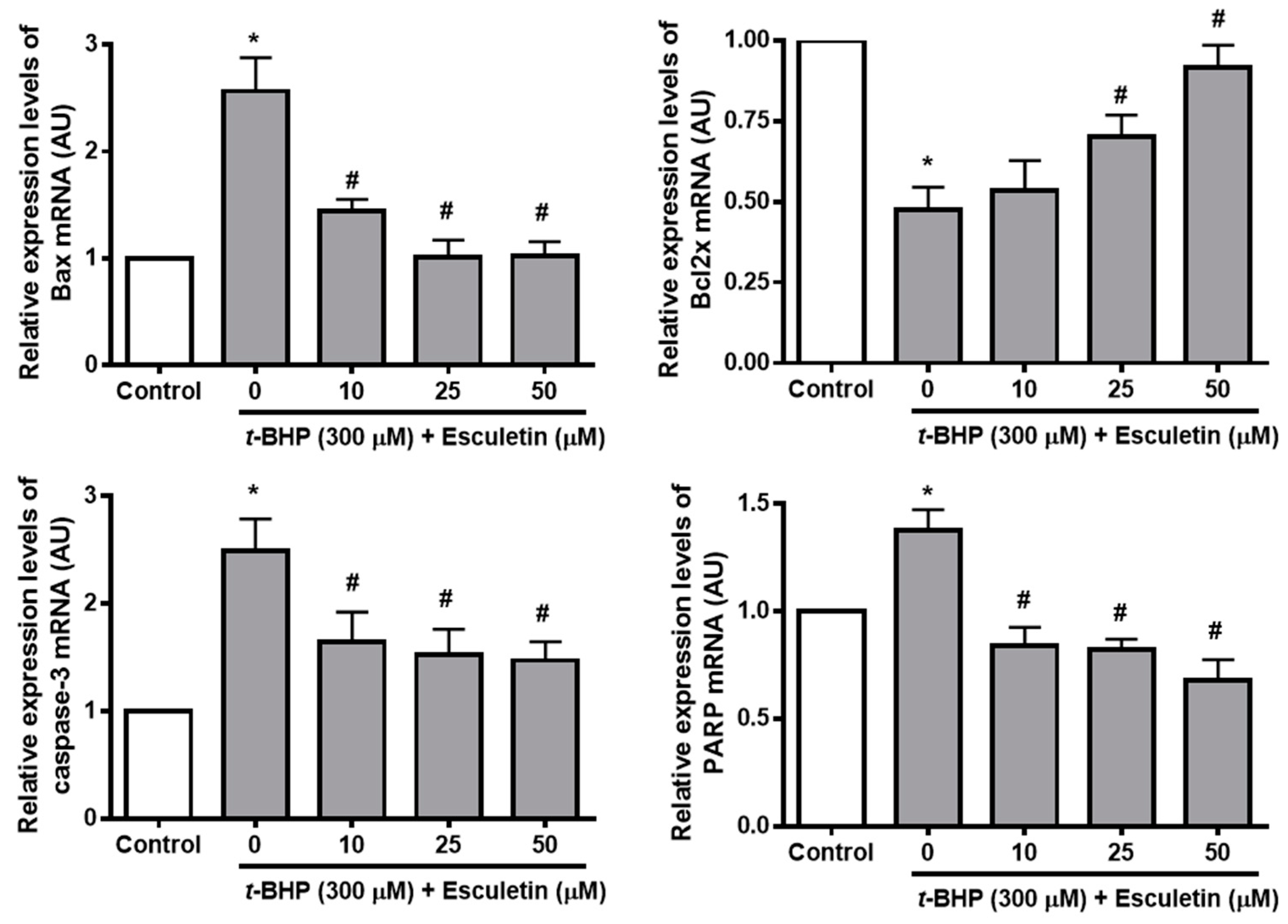 Molecules 27 08970 g005 Molecules 27 08970 g005