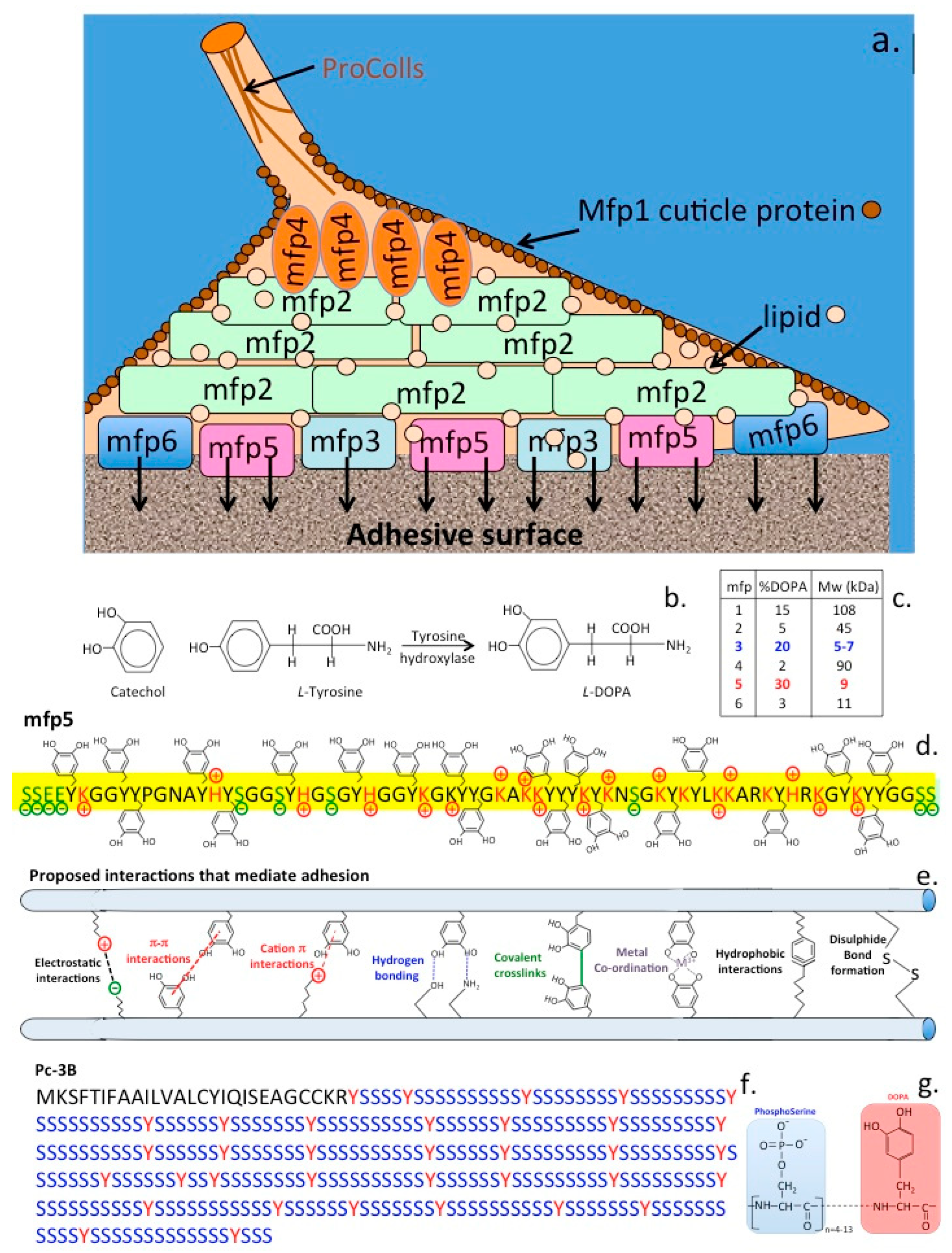 Molecules 27 08982 g005 Molecules 27 08982 g005