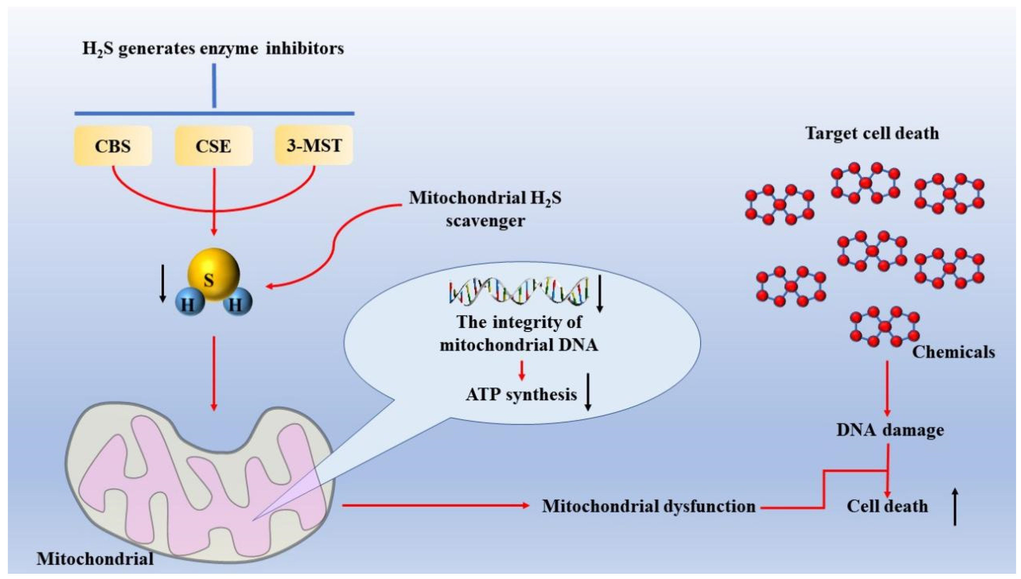 Molecules 27 09005 g002