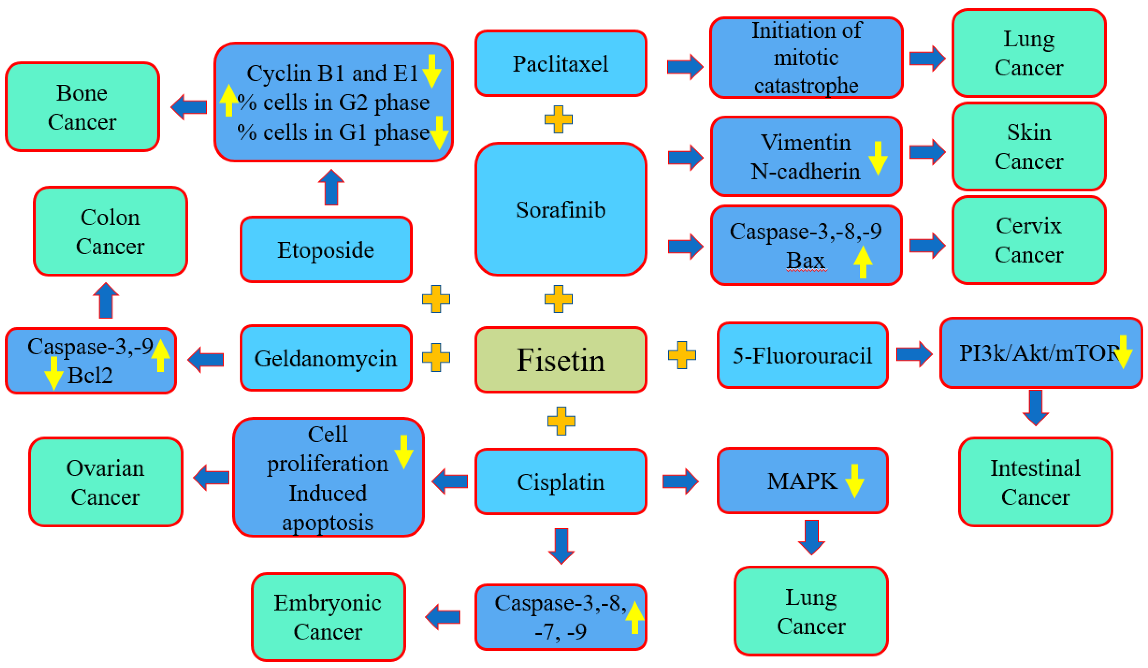 Molecules 27 09009 g005 Molecules 27 09009 g005