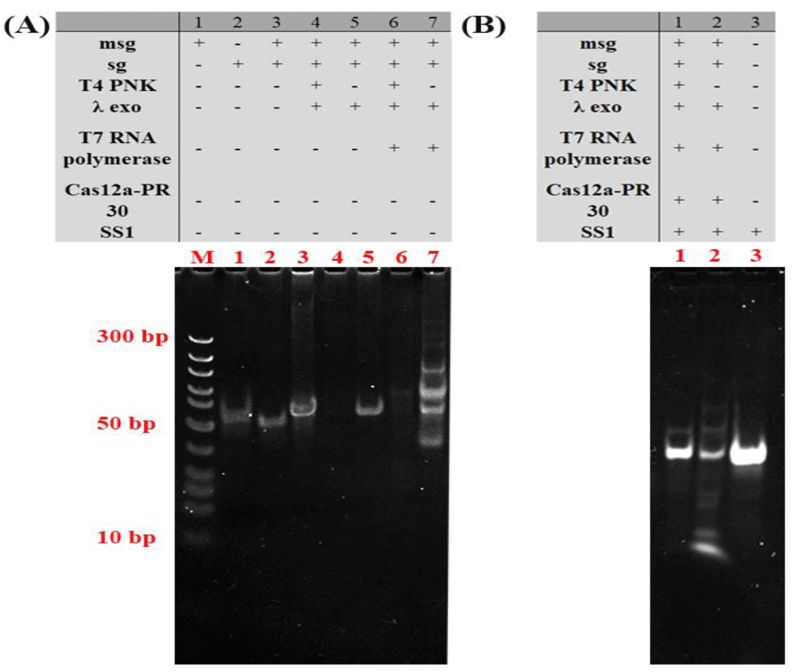Molecules 27 09019 g003