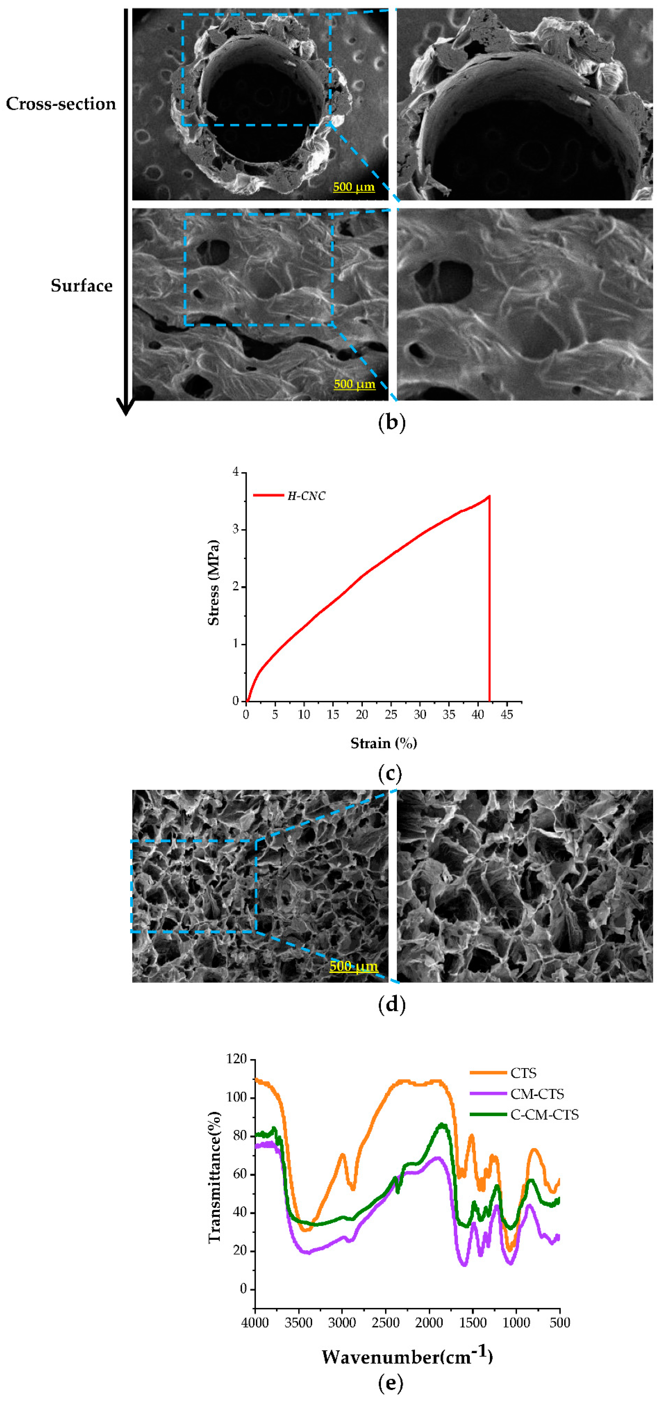 Molecules 27 09039 g001b Molecules 27 09039 g001b