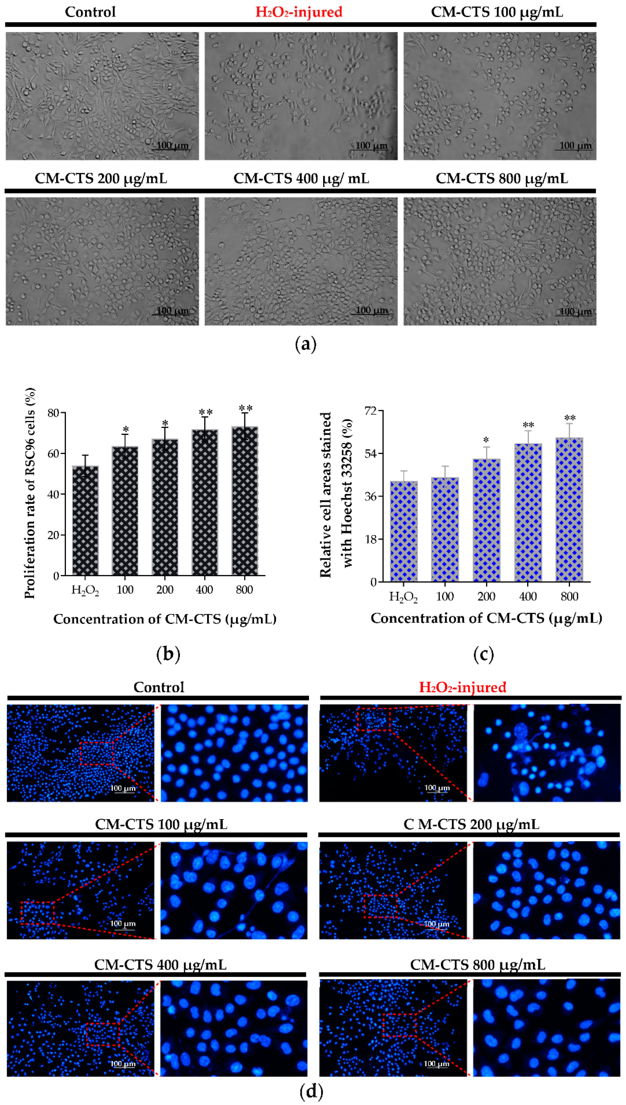 Molecules 27 09039 g003 Molecules 27 09039 g003