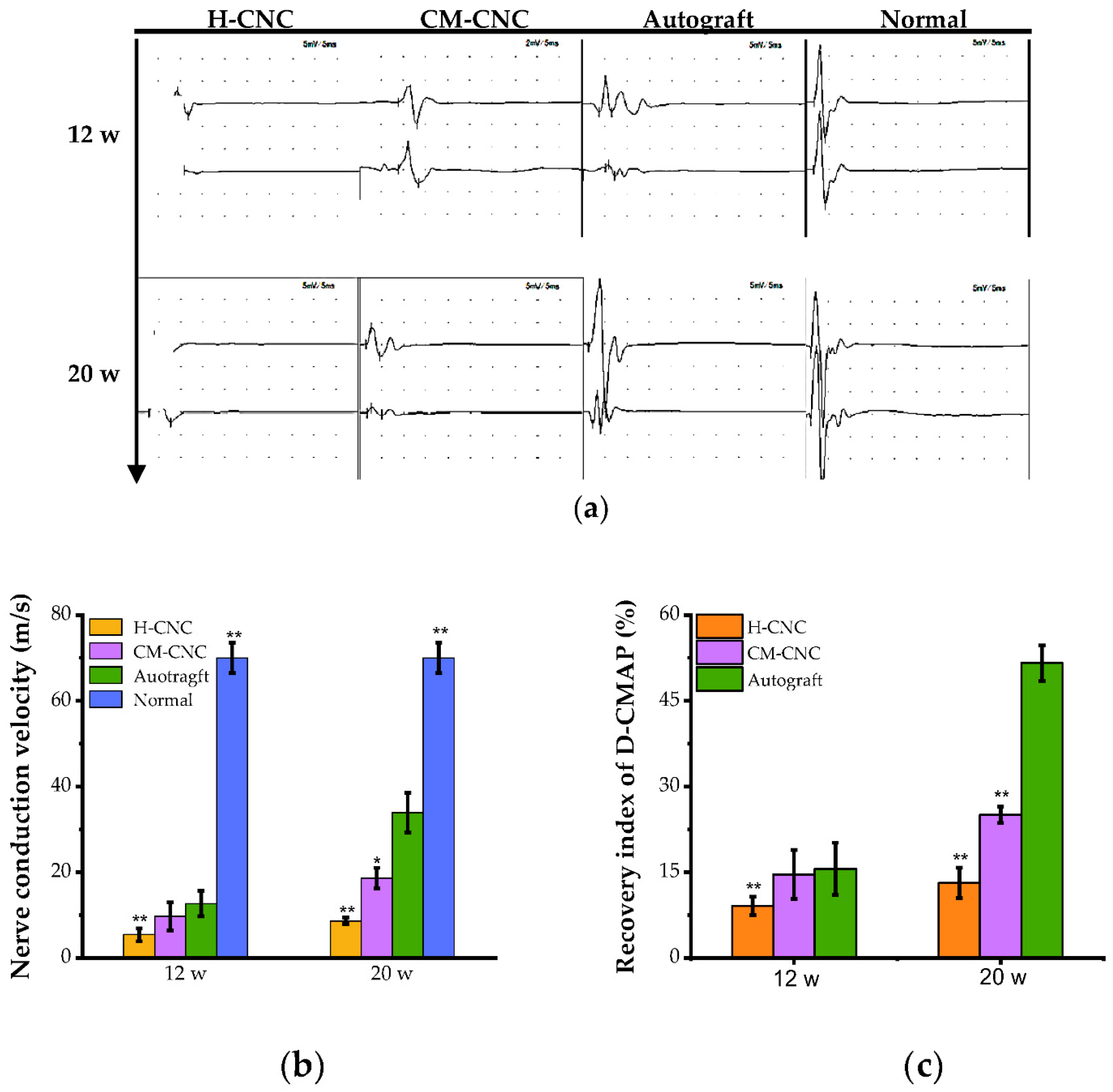 Molecules 27 09039 g005 Molecules 27 09039 g005