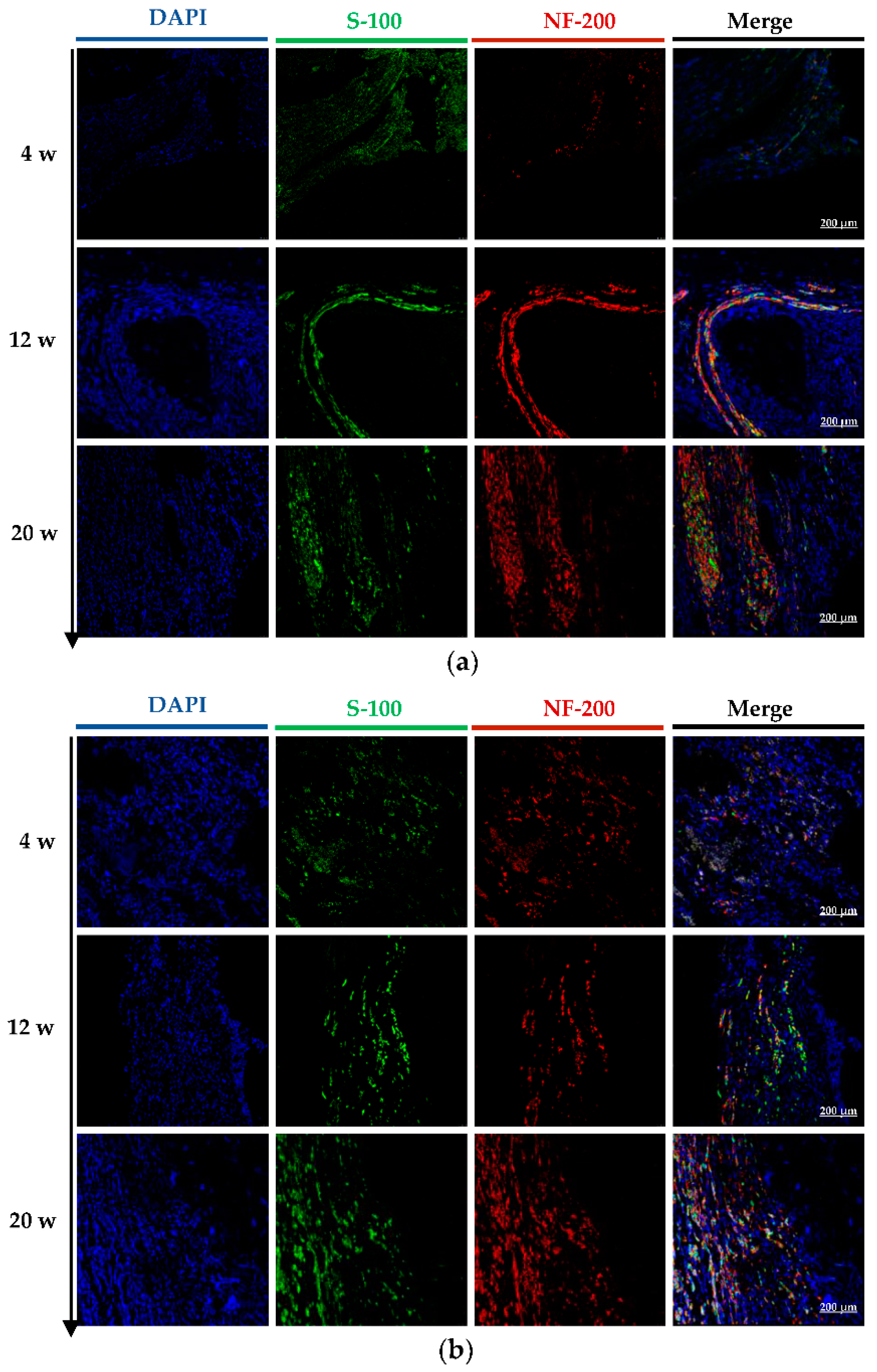 Molecules 27 09039 g006a Molecules 27 09039 g006a