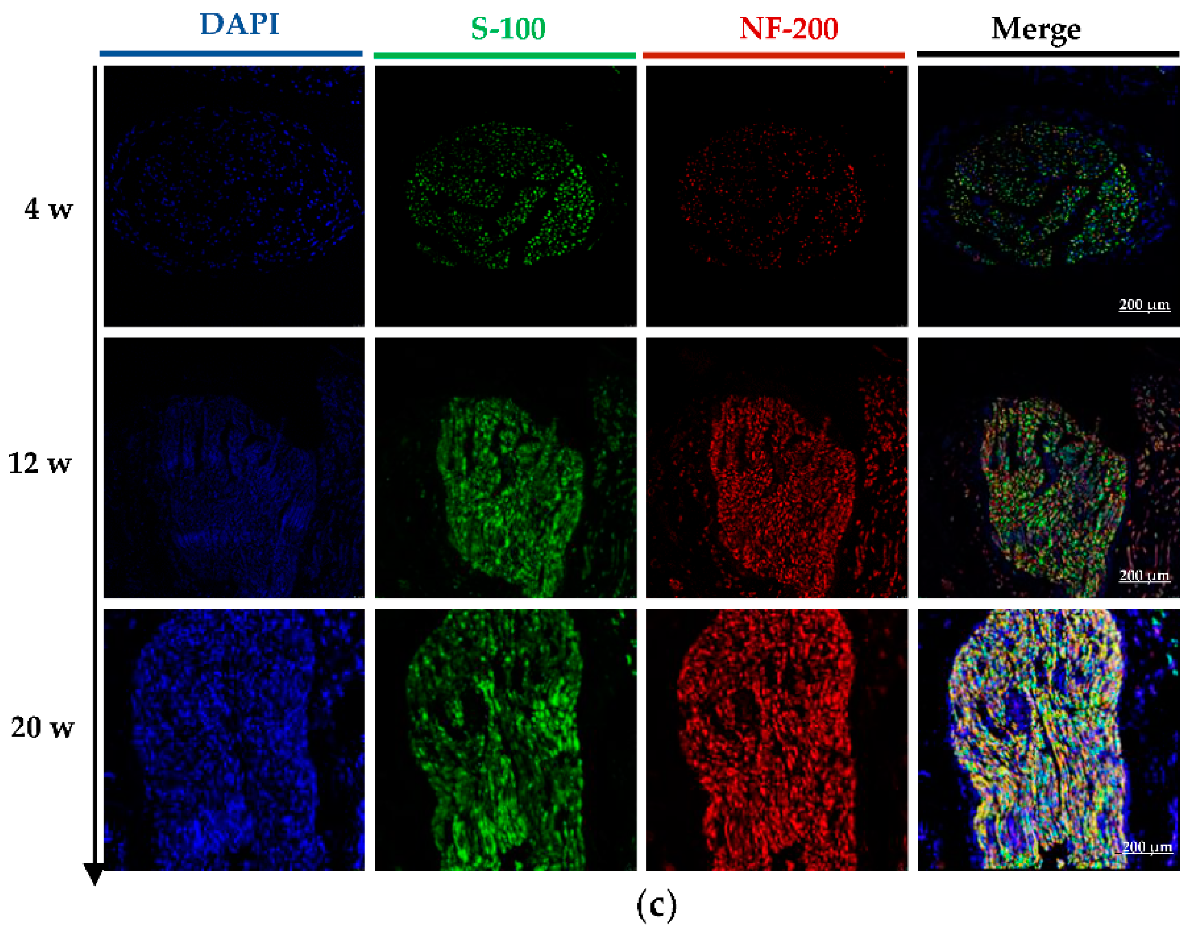 Molecules 27 09039 g006b Molecules 27 09039 g006b