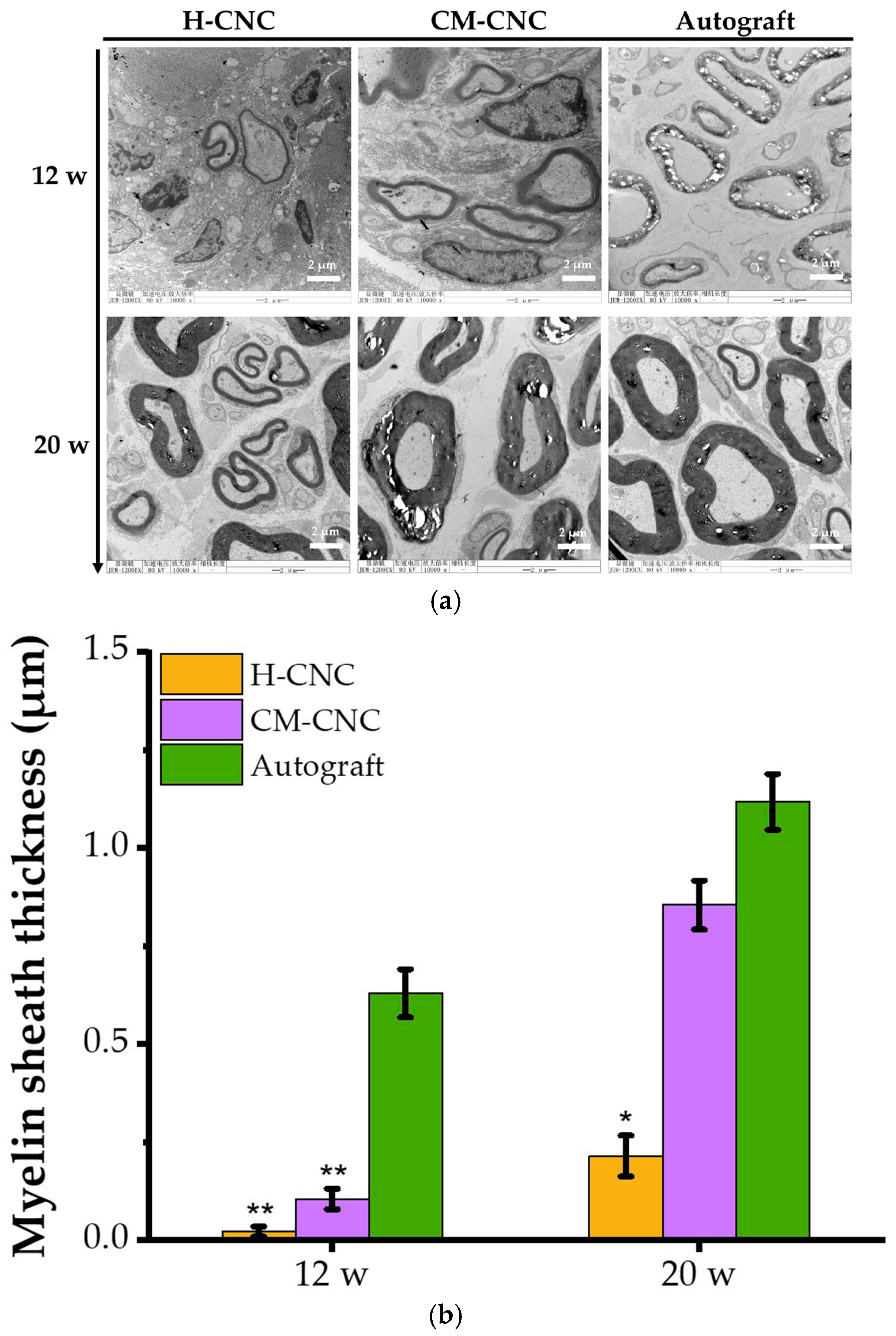 Molecules 27 09039 g007 Molecules 27 09039 g007