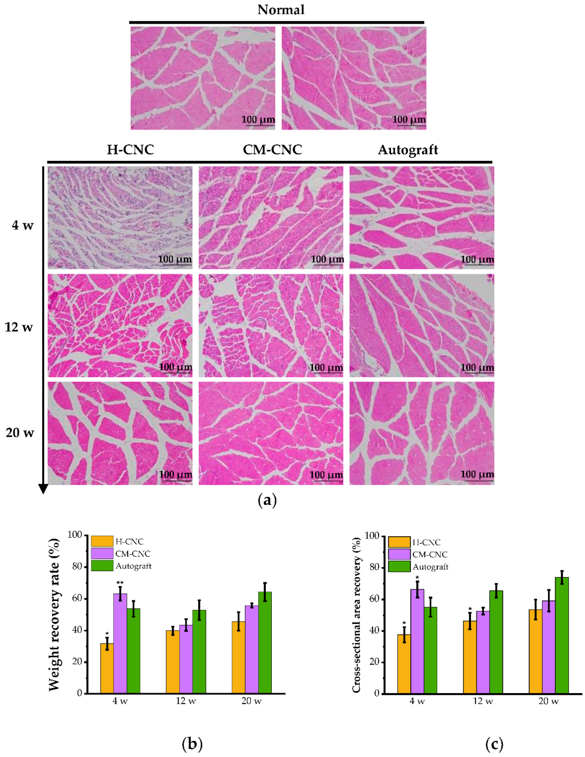 Molecules 27 09039 g008 Molecules 27 09039 g008