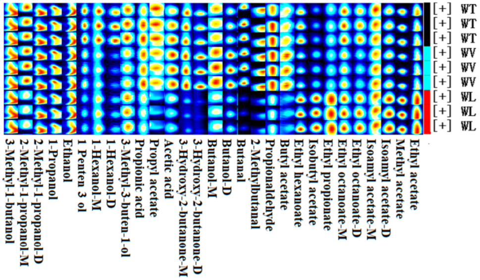 Molecules 27 09056 g007 Molecules 27 09056 g007