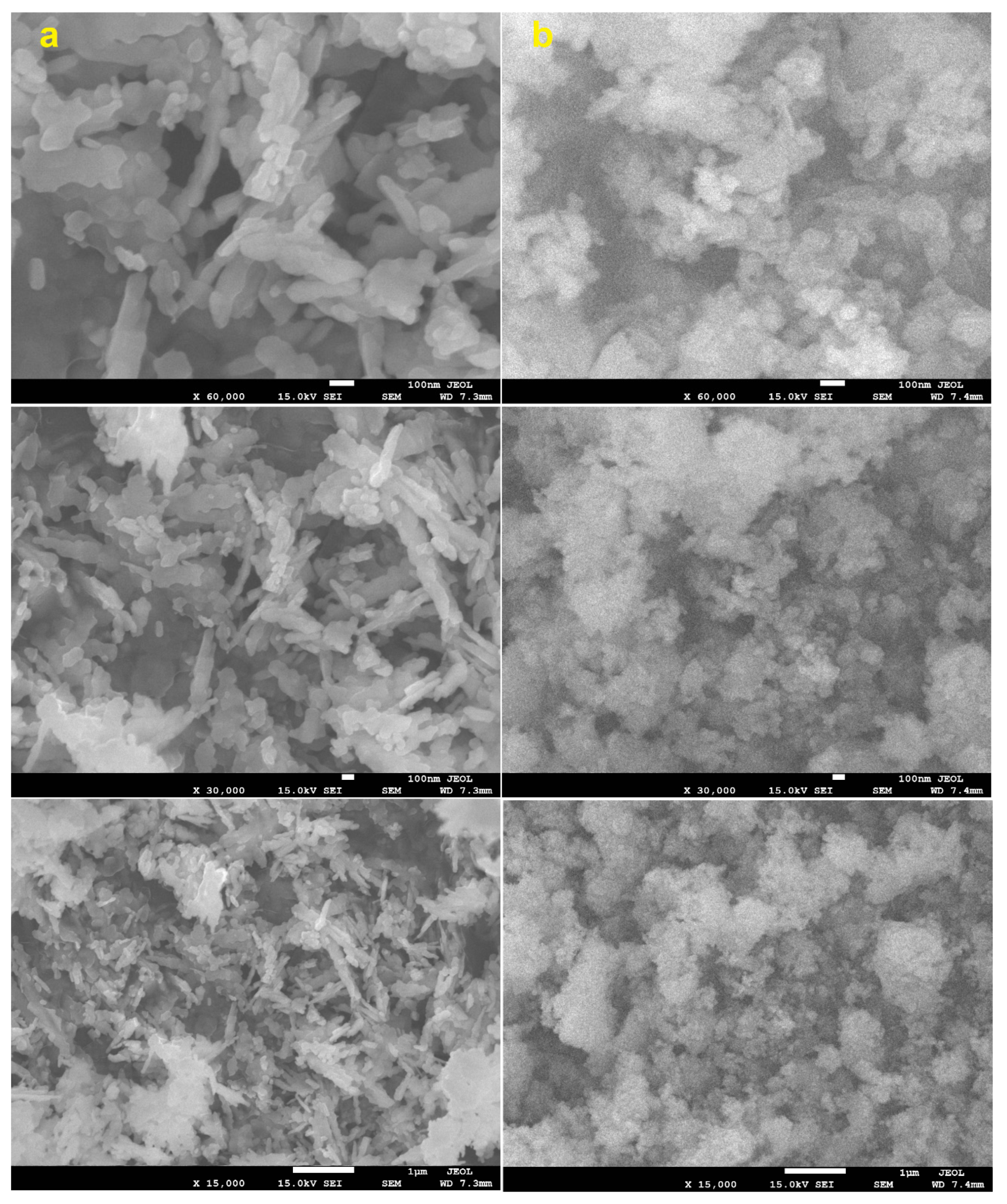 Molecules 28 00016 g002