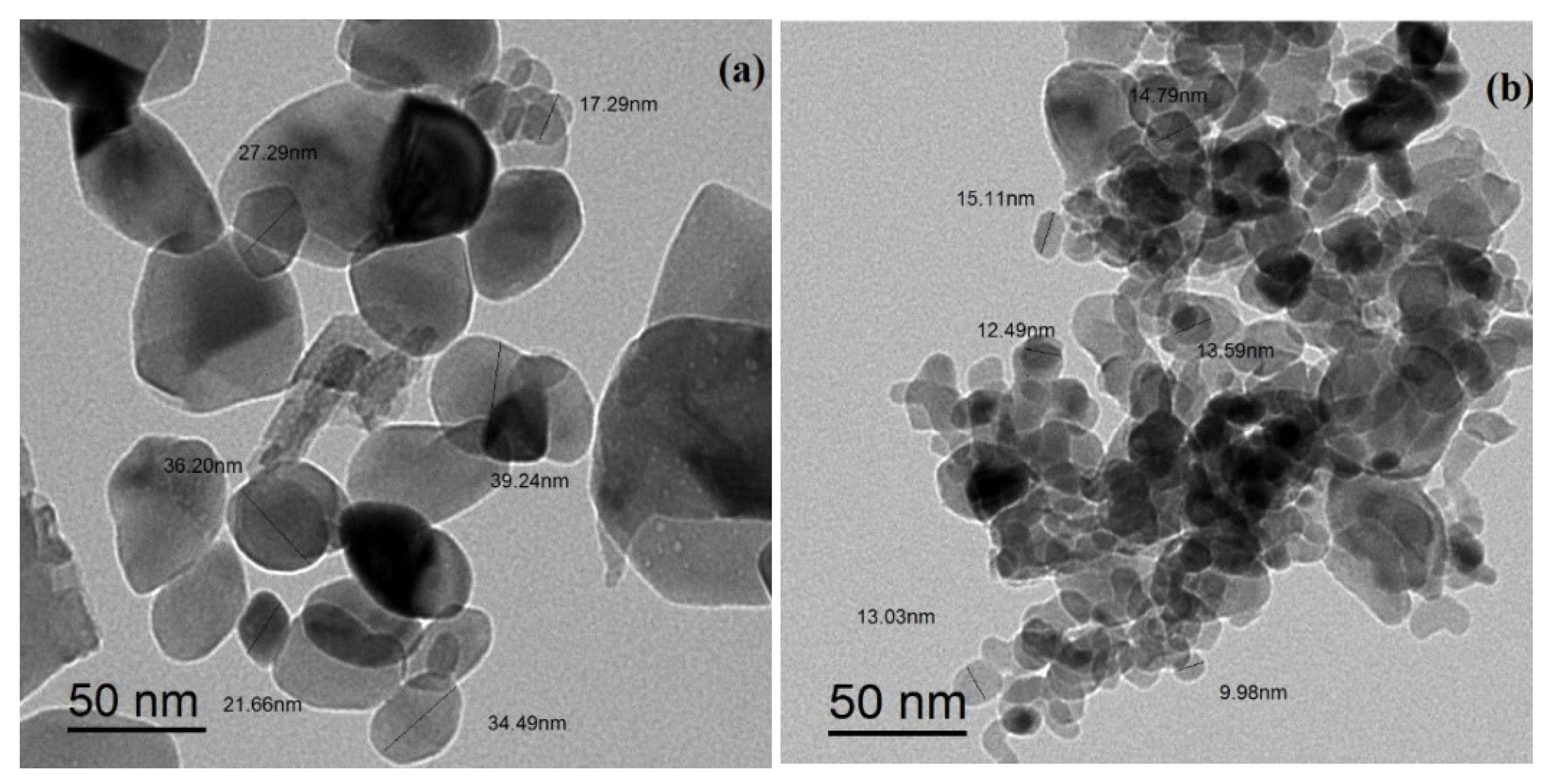Molecules 28 00016 g003