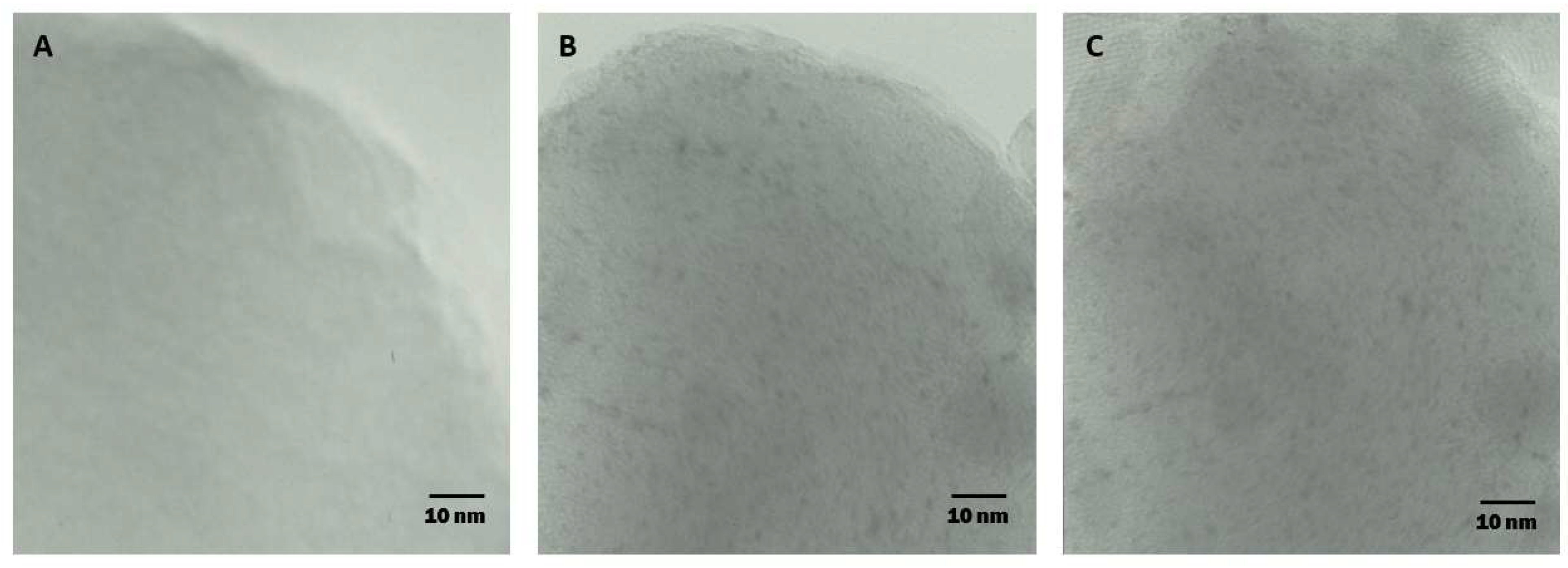 Molecules 28 00024 g006