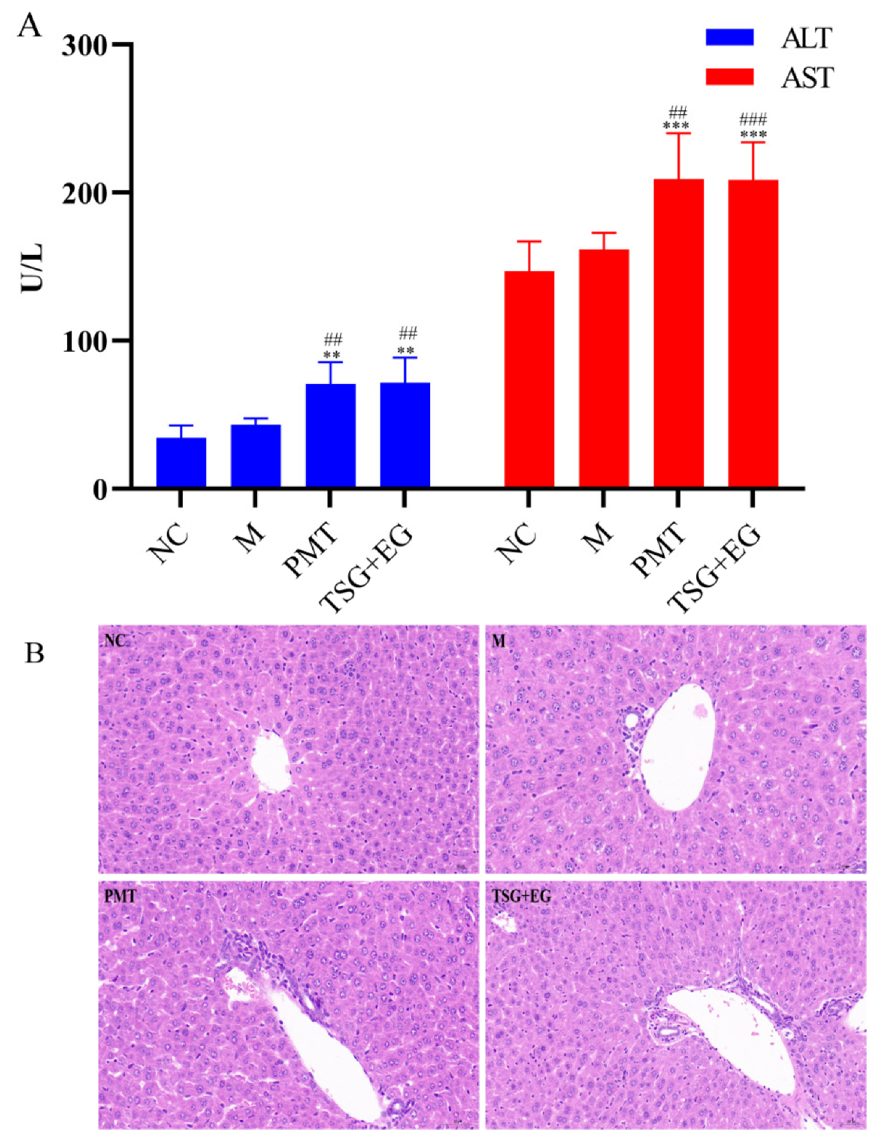 Molecules 28 00025 g003