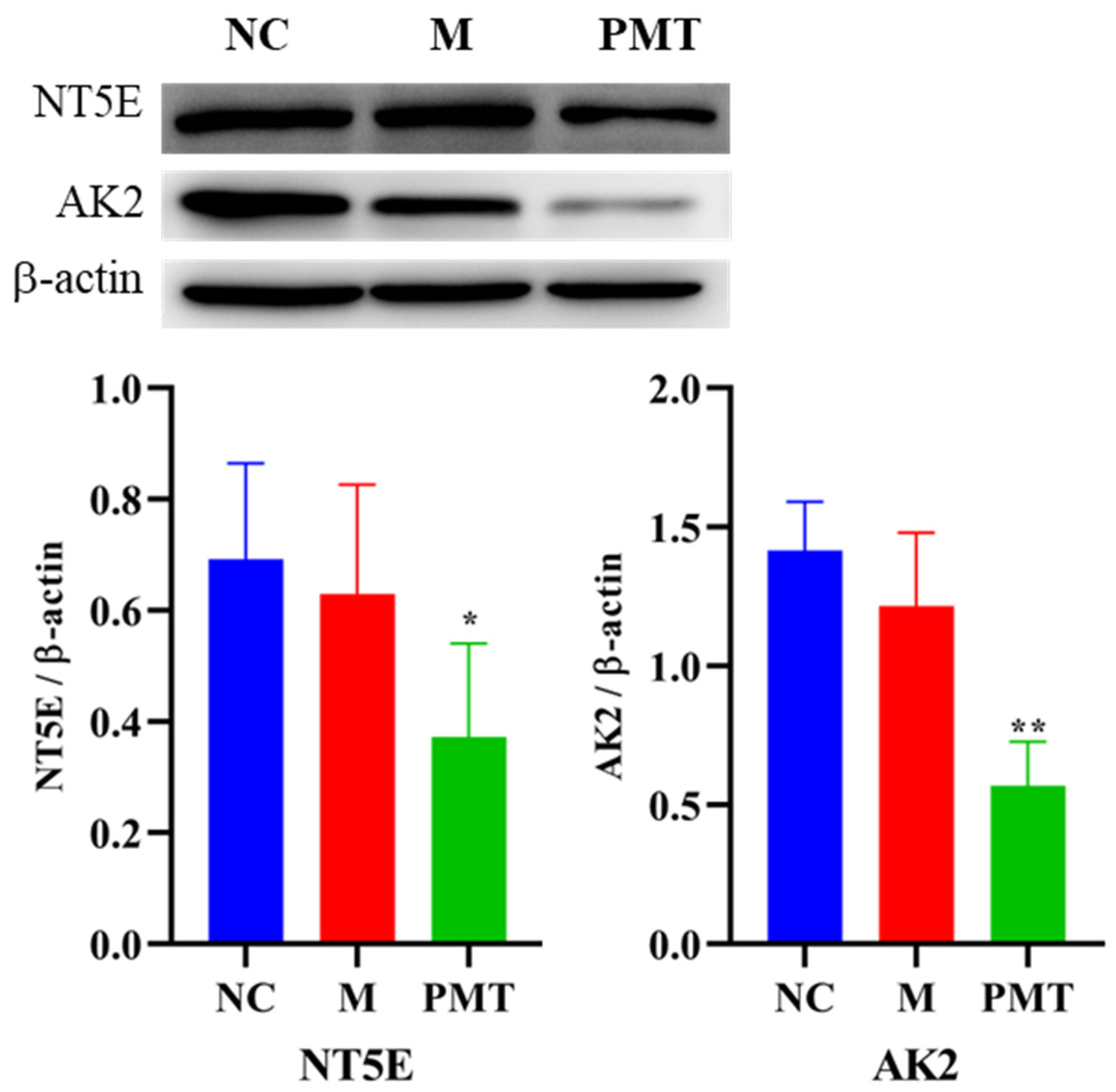 Molecules 28 00025 g008