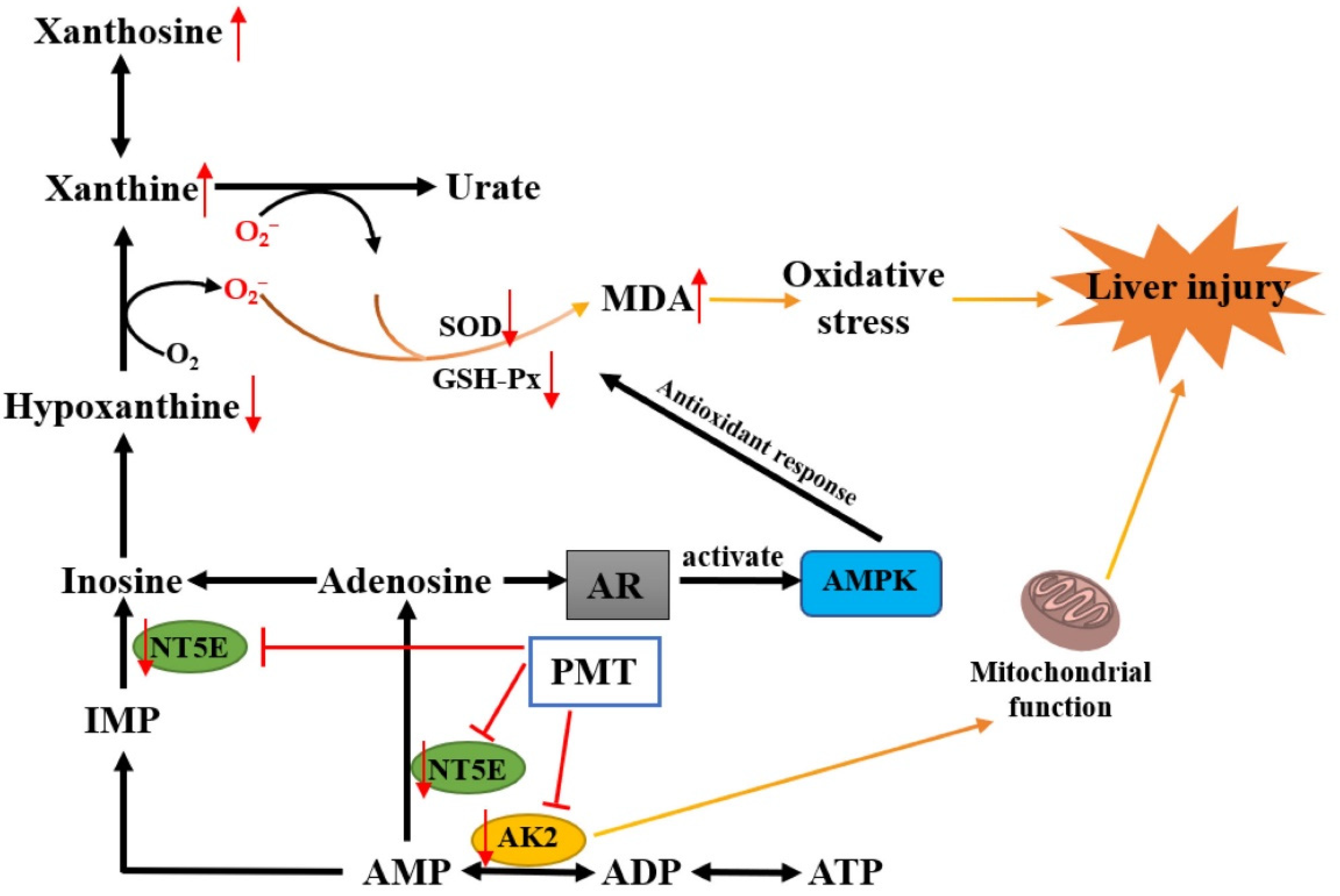 Molecules 28 00025 g009
