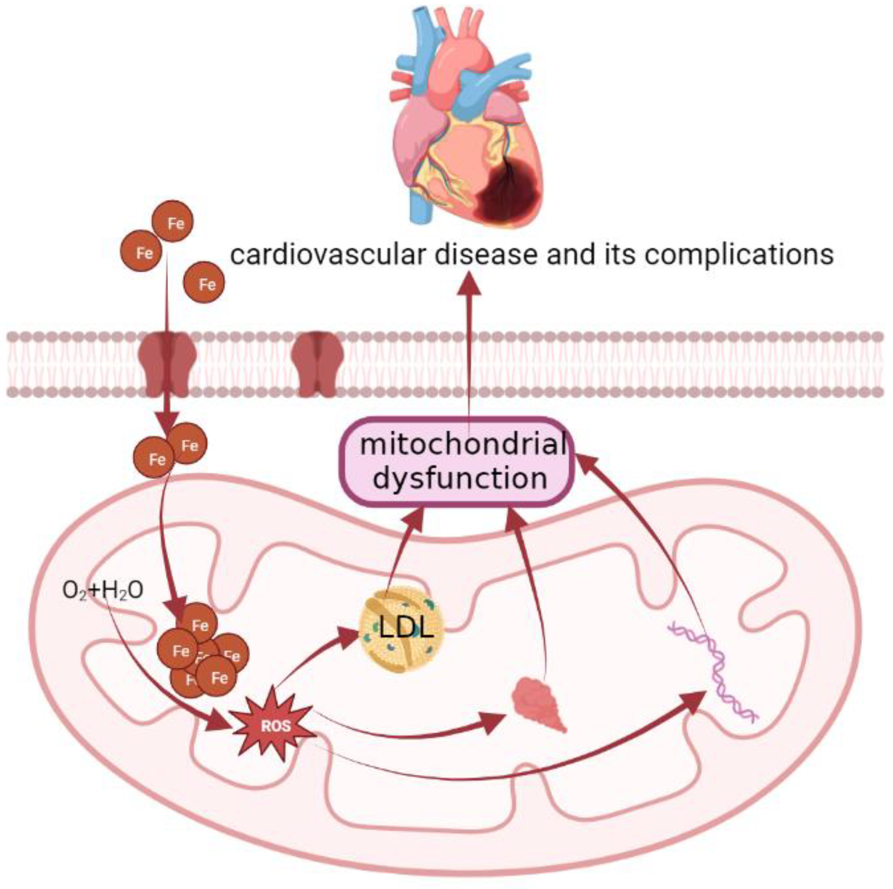 Molecules 28 00029 g002