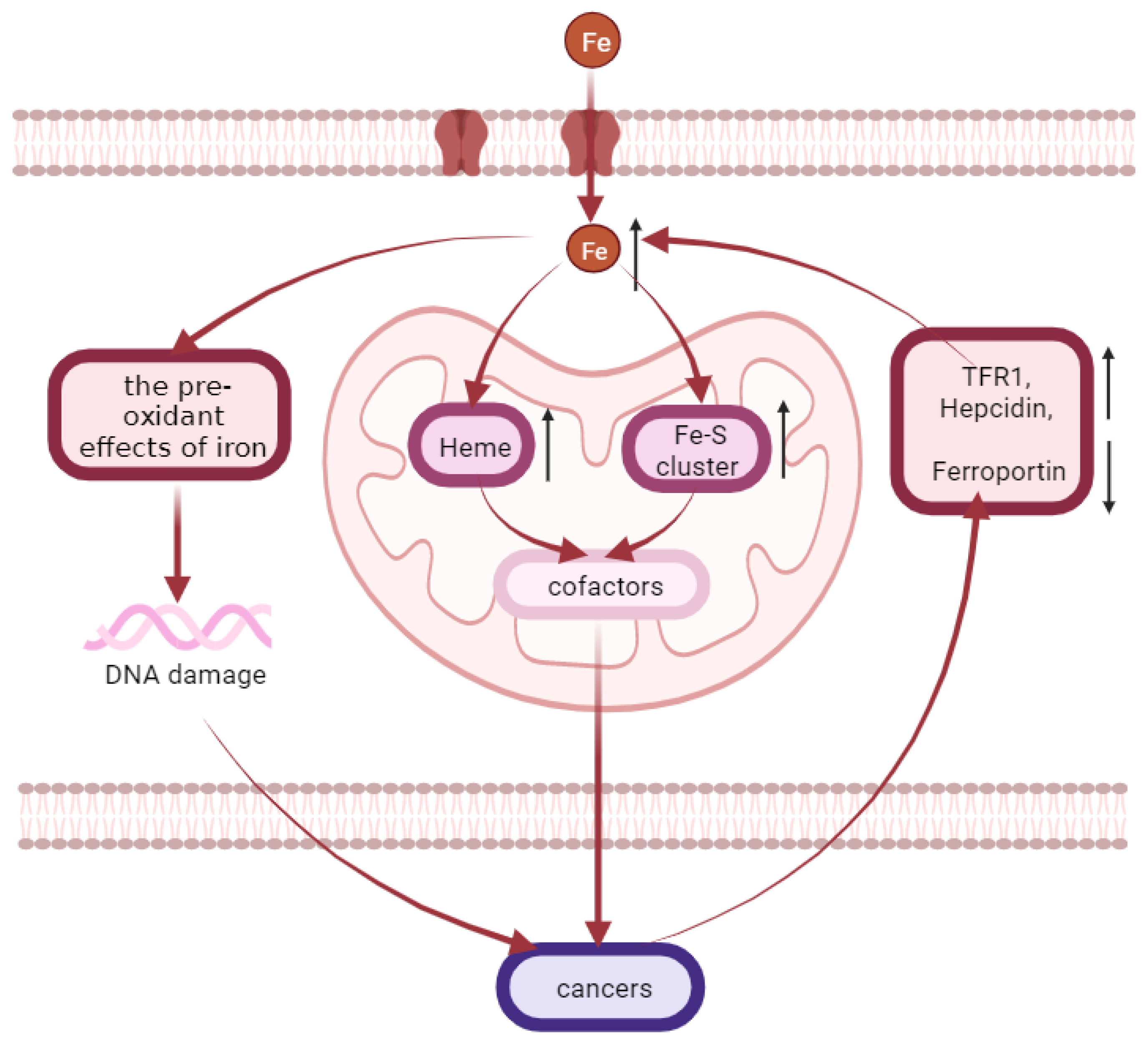 Molecules 28 00029 g004