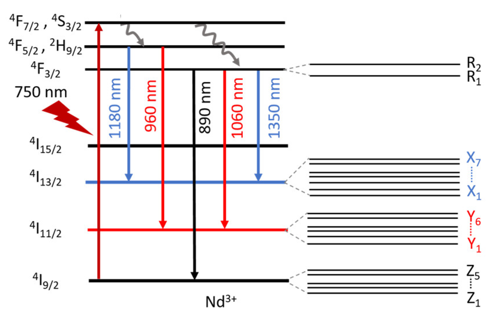 Molecules 28 00048 g004