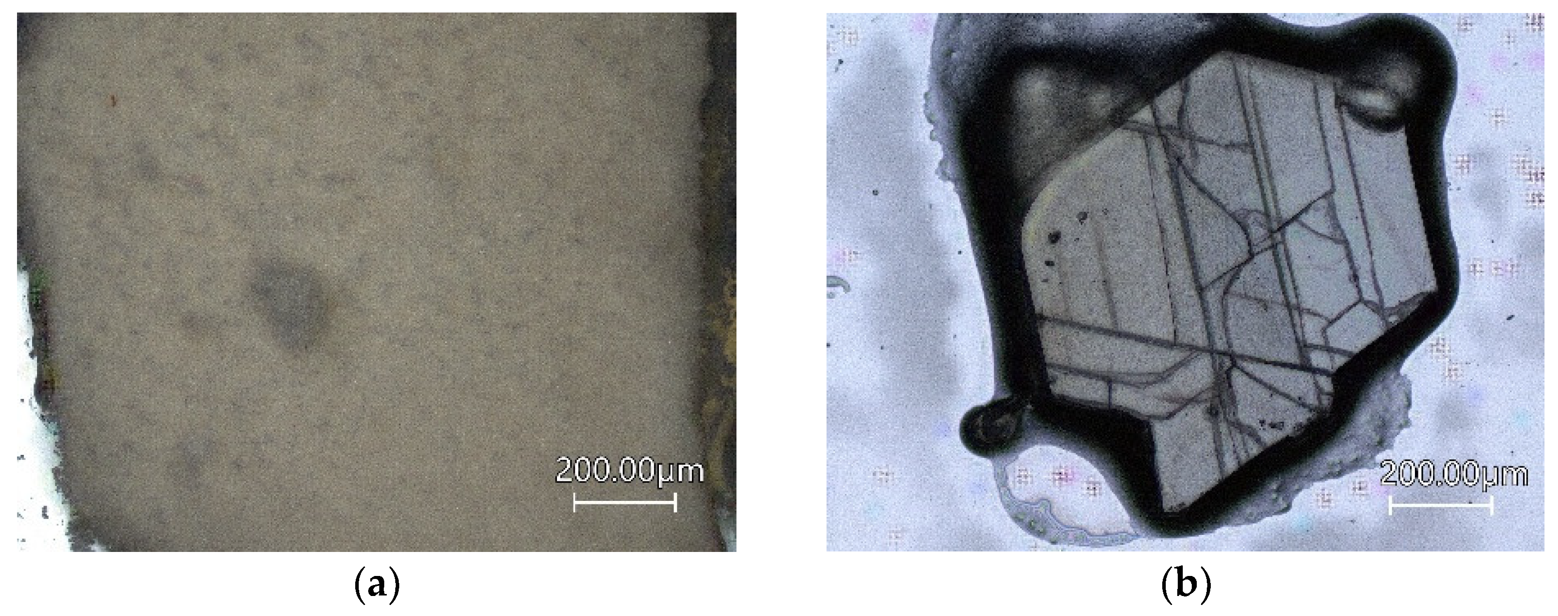 Molecules 28 00048 g010