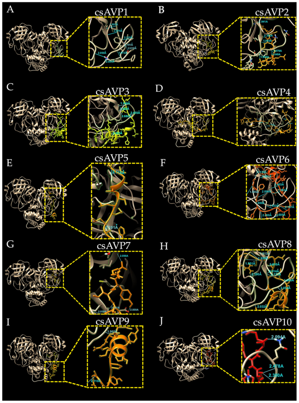 Molecules 28 00050 g005 Molecules 28 00050 g005