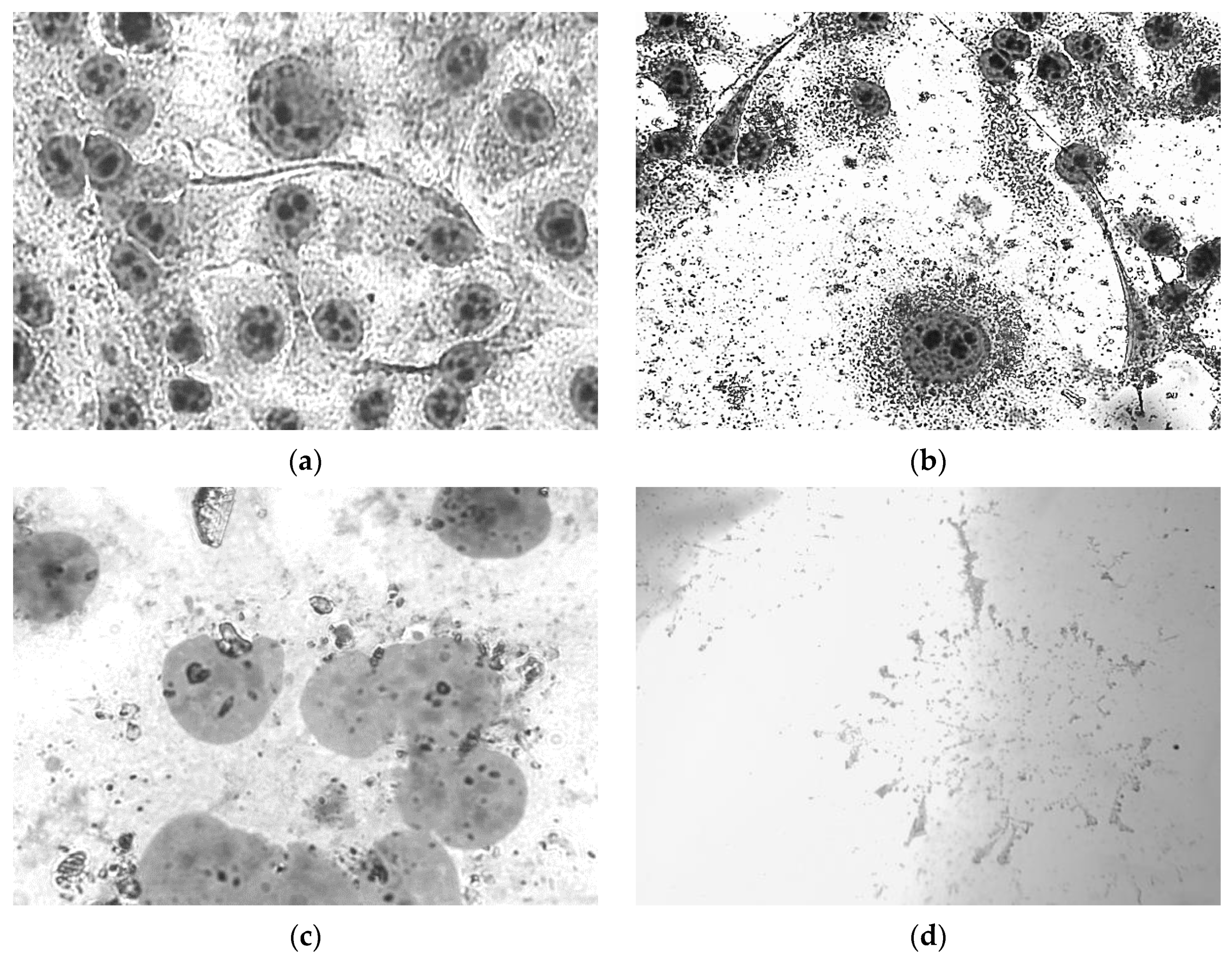 Molecules 28 00059 g003 Molecules 28 00059 g003