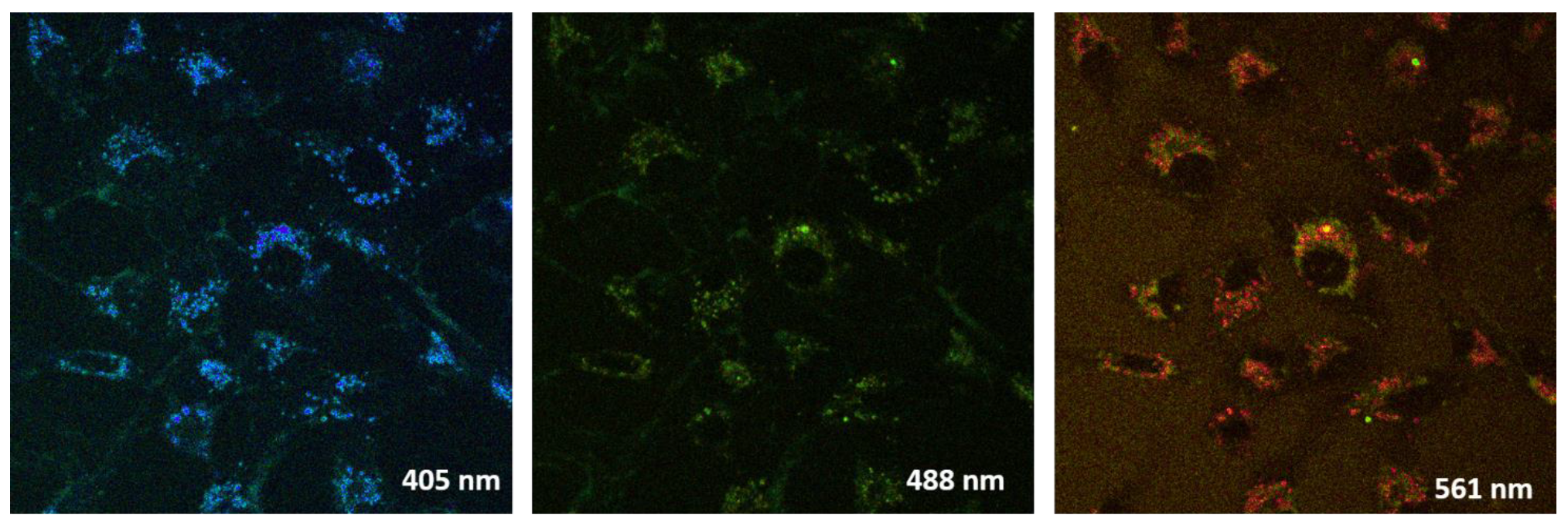Molecules 28 00059 g004 Molecules 28 00059 g004