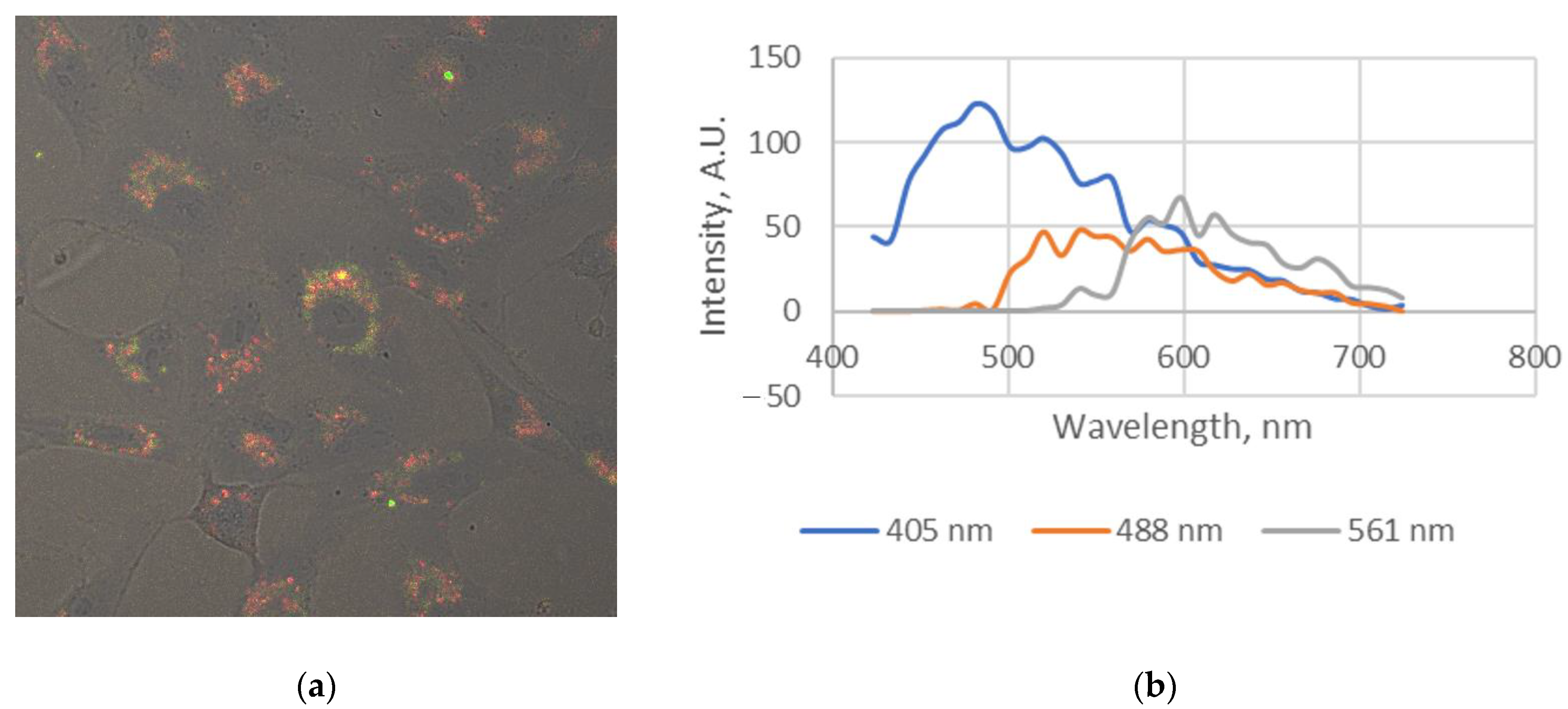 Molecules 28 00059 g005 Molecules 28 00059 g005