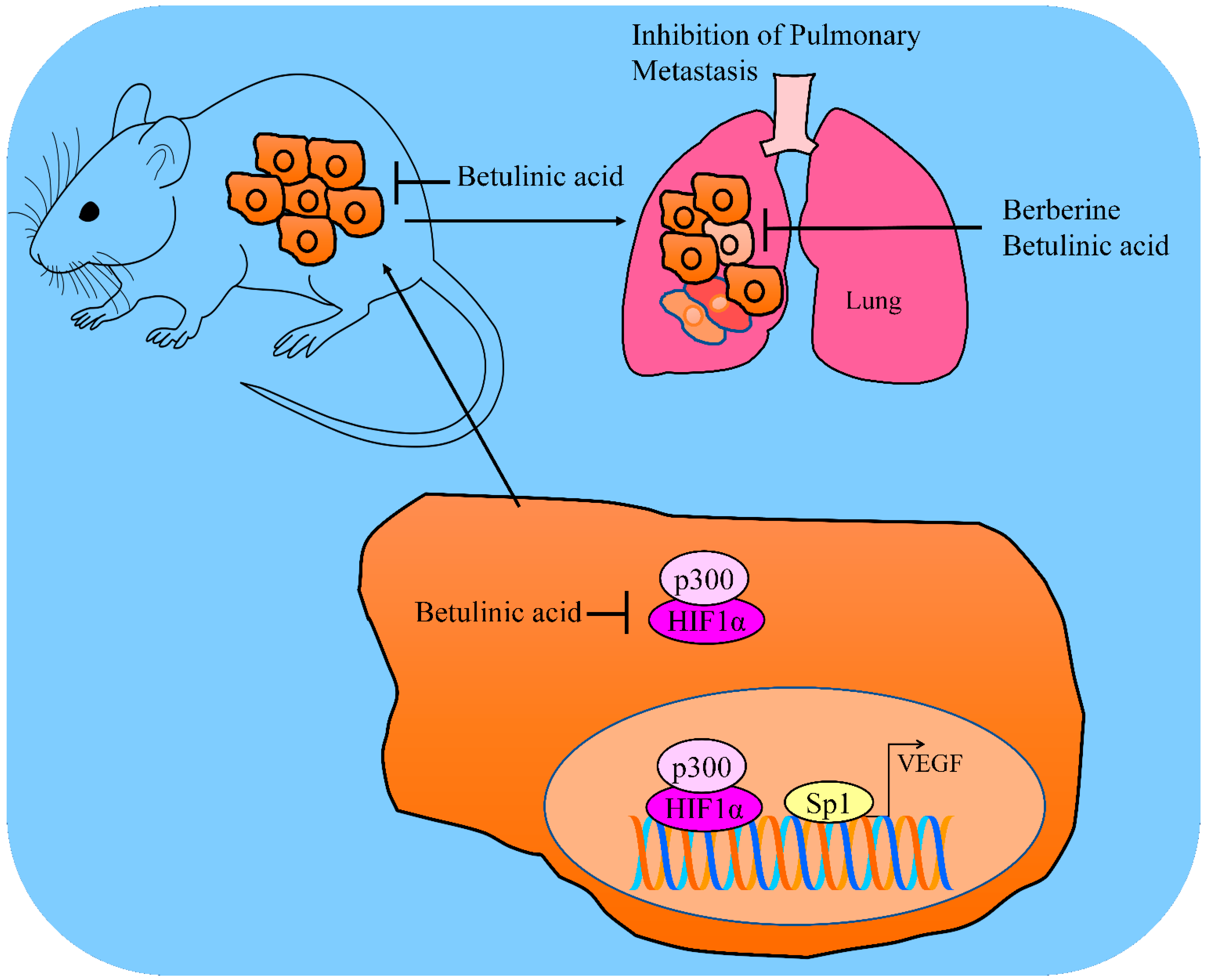 Molecules 28 00067 g002 Molecules 28 00067 g002