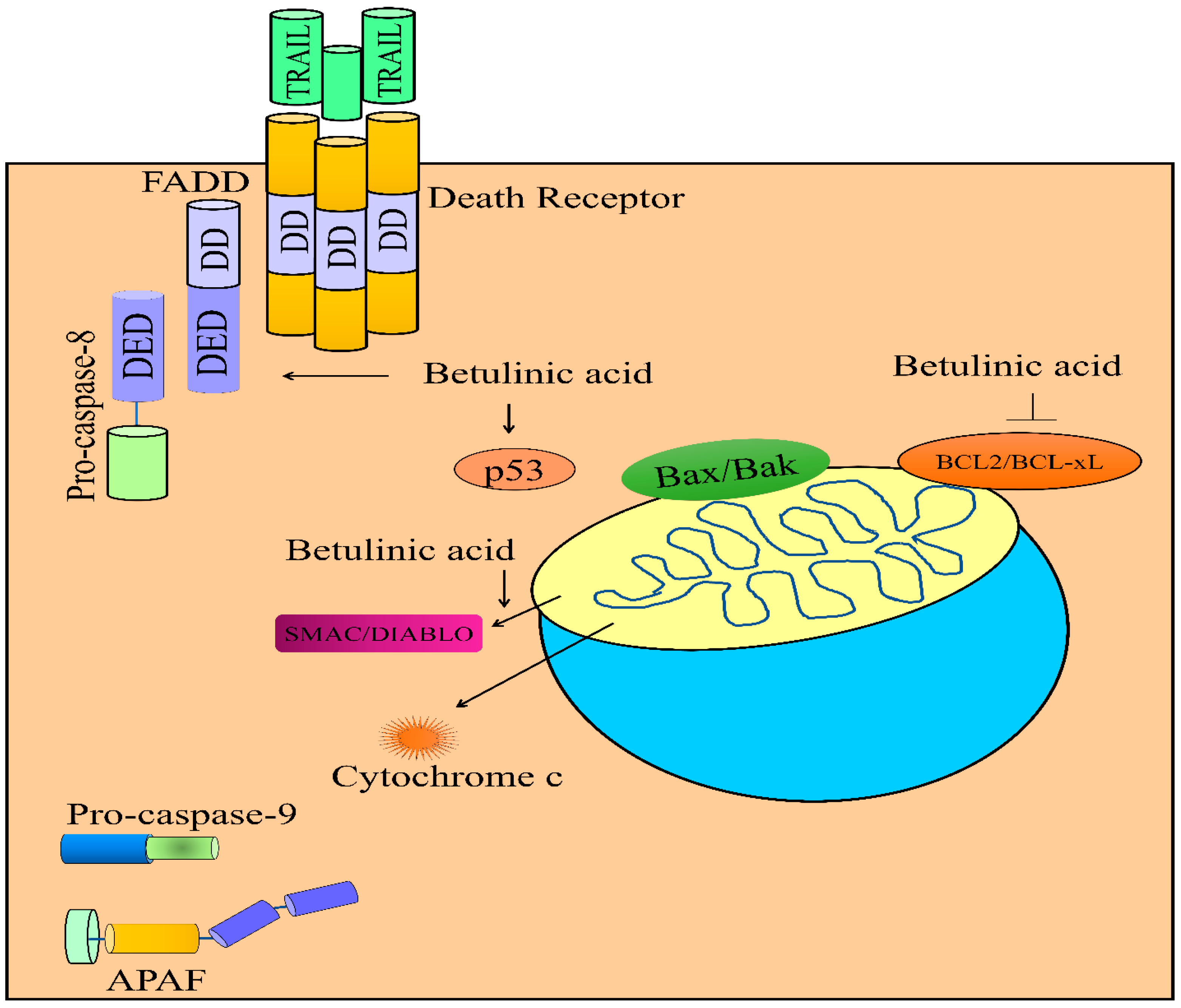 Molecules 28 00067 g003 Molecules 28 00067 g003