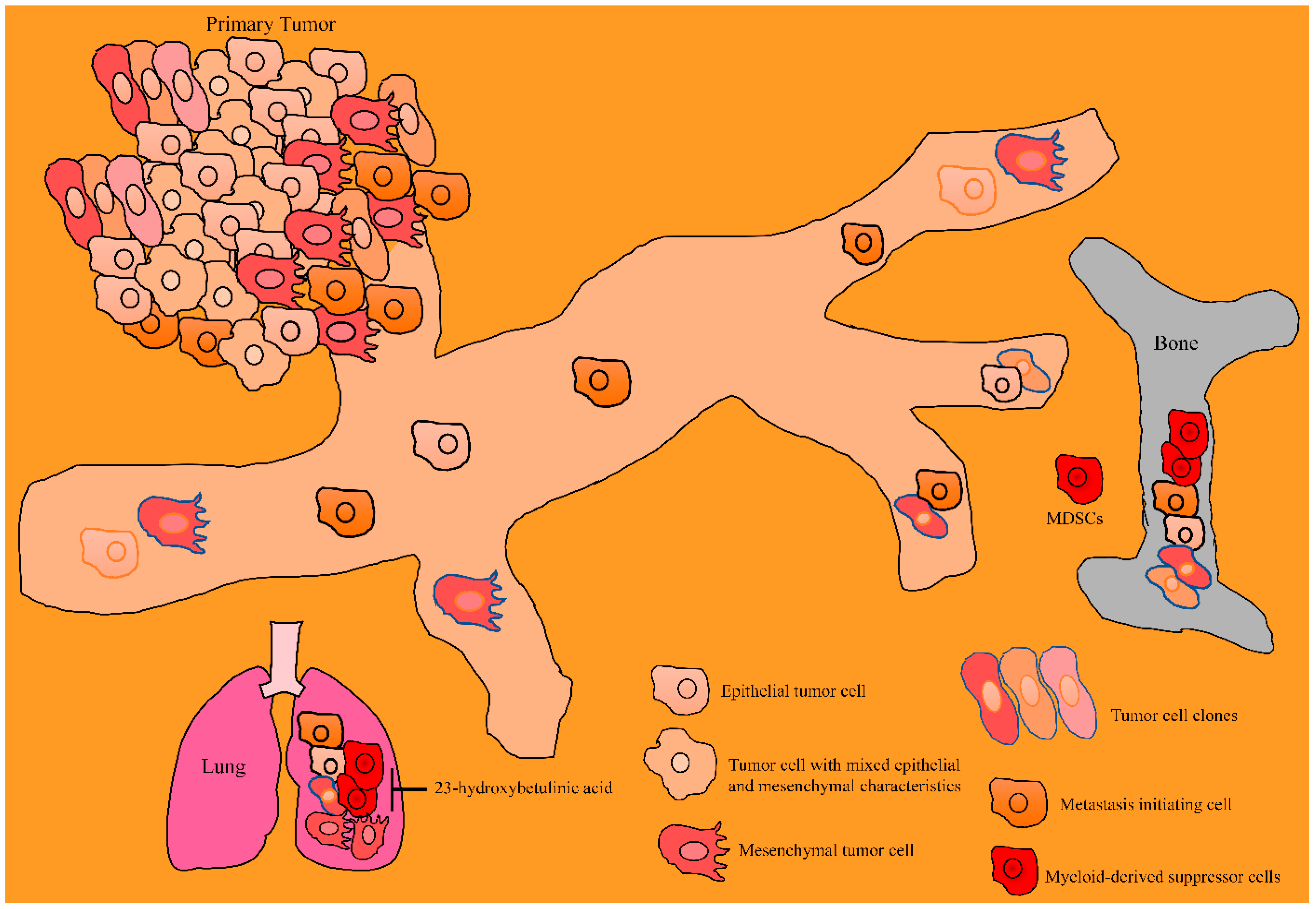 Molecules 28 00067 g004 Molecules 28 00067 g004