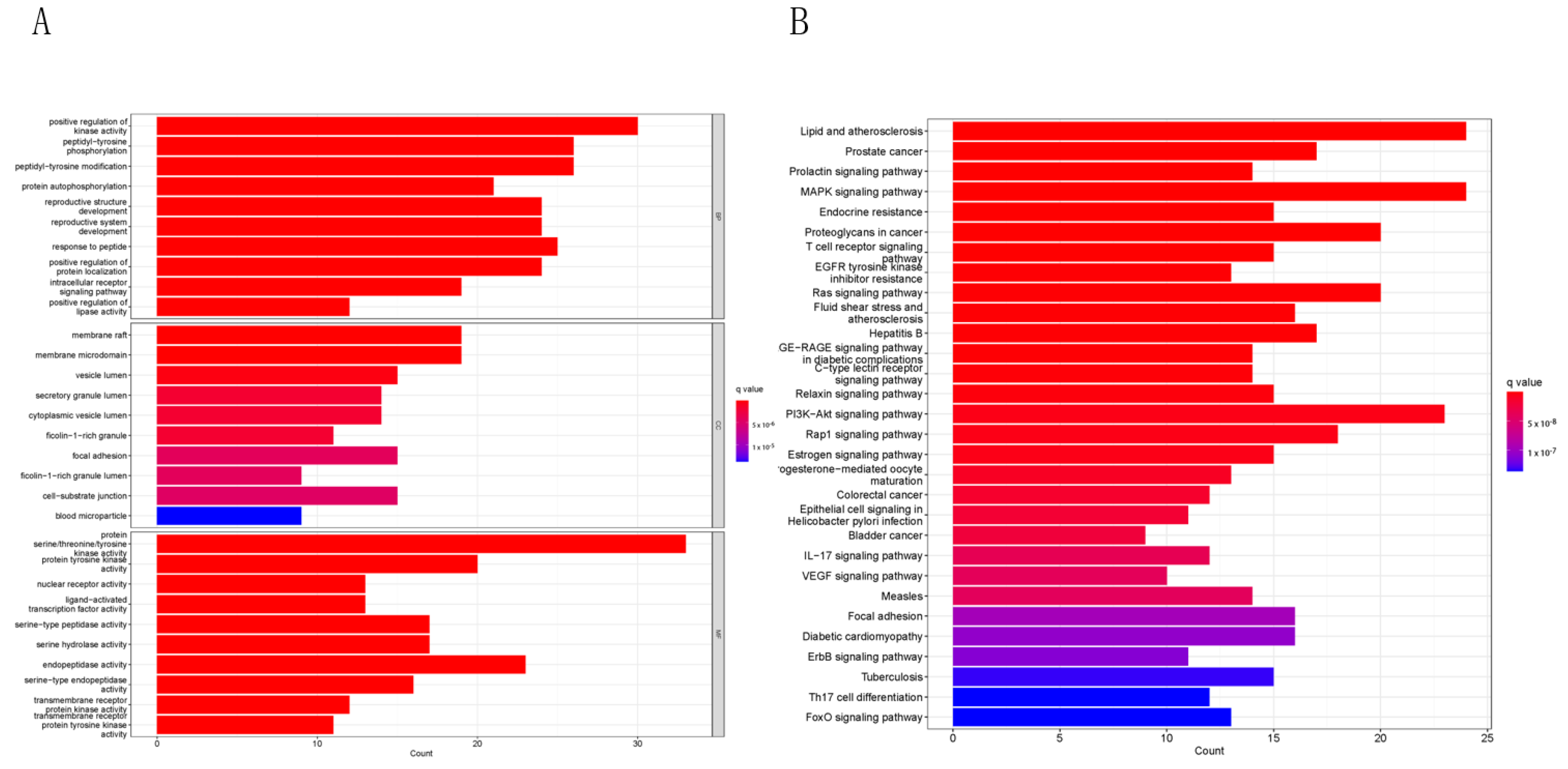 Molecules 28 00068 g003 Molecules 28 00068 g003
