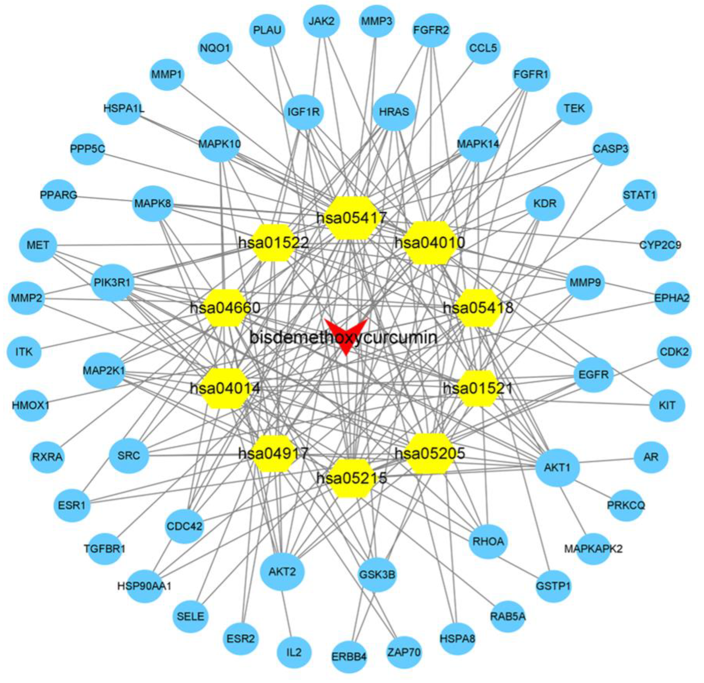 Molecules 28 00068 g004 Molecules 28 00068 g004