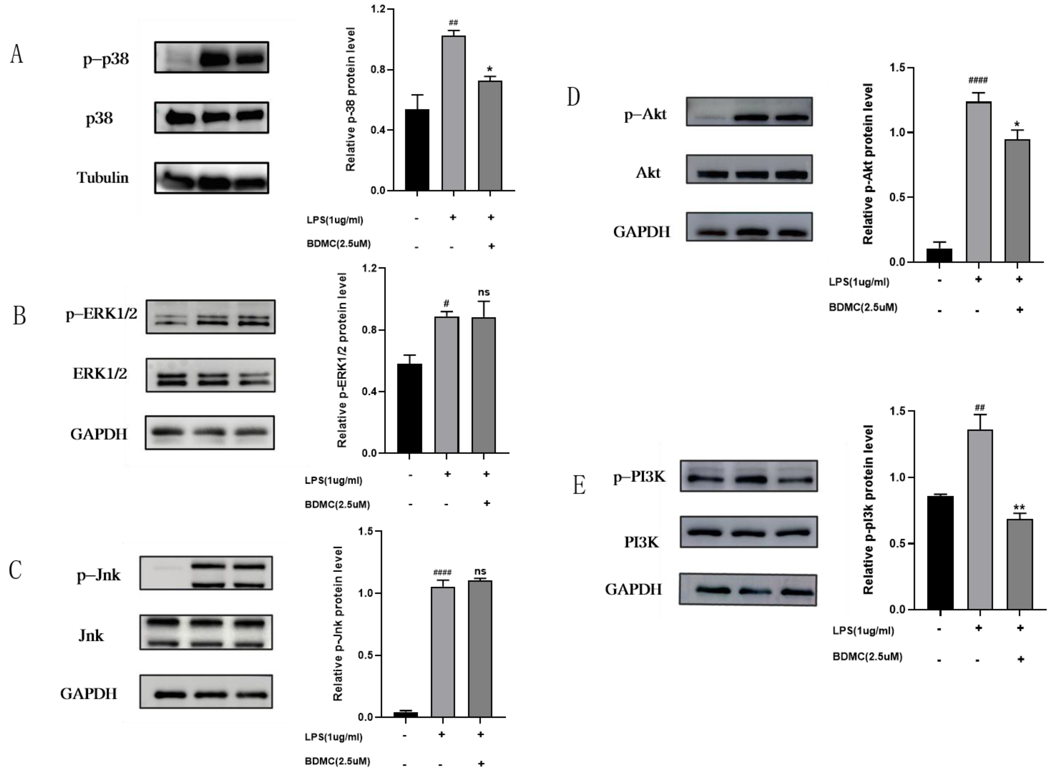 Molecules 28 00068 g007 Molecules 28 00068 g007