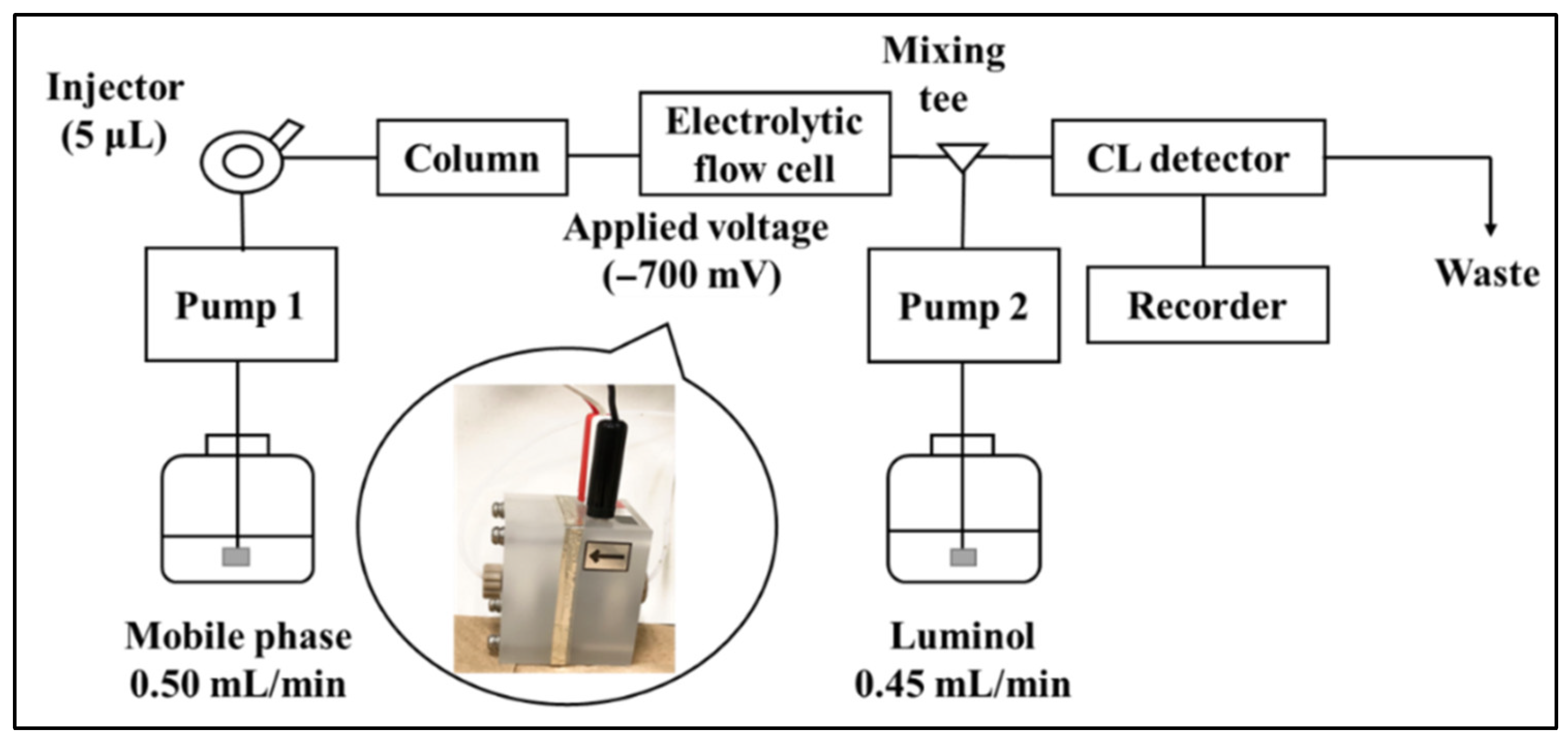 Molecules 28 00096 g002 Molecules 28 00096 g002