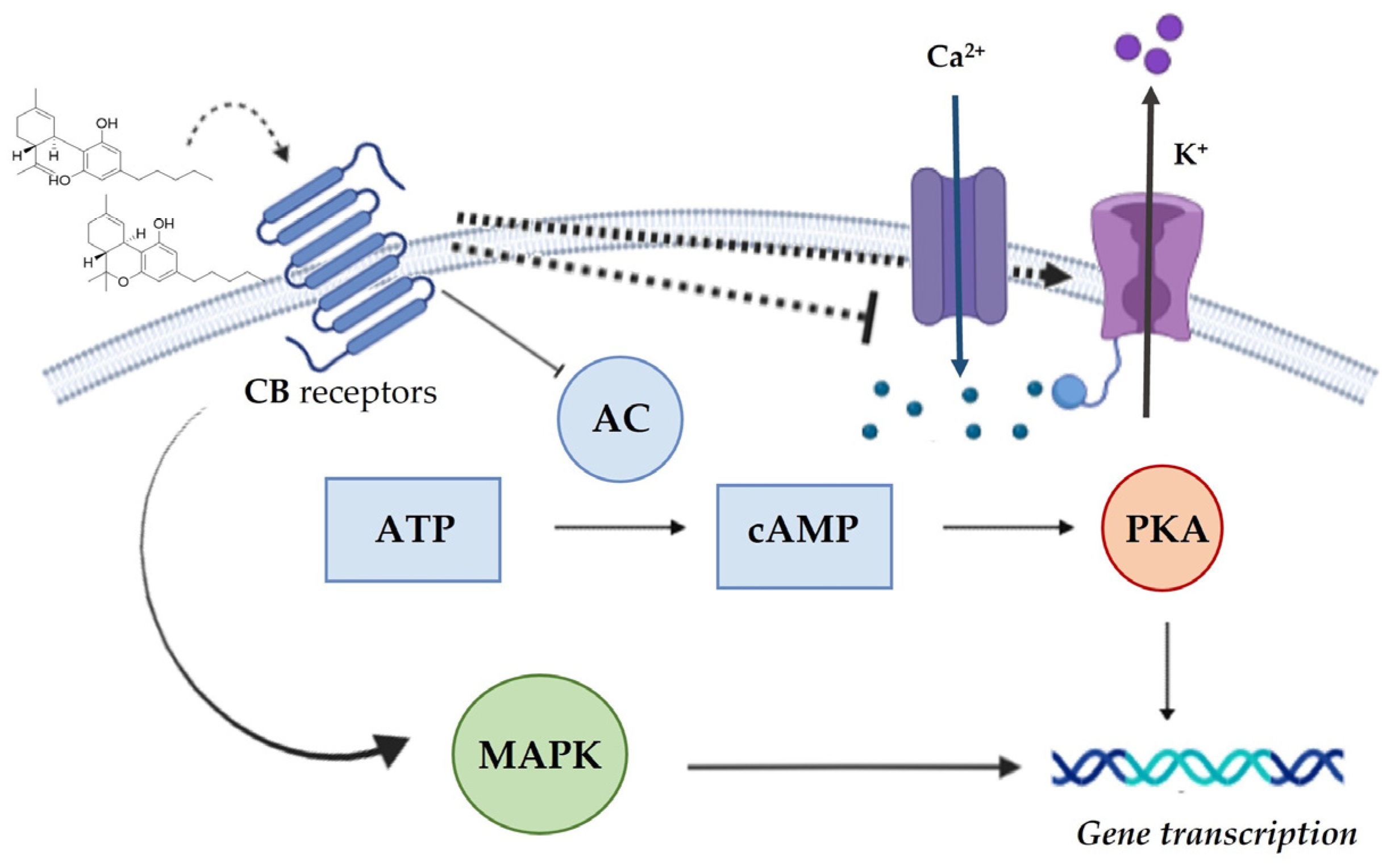 Molecules 28 00106 g004 Molecules 28 00106 g004