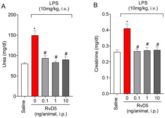 Molecules Free Full Text Resolvin D5 RvD5 Reduces Renal  