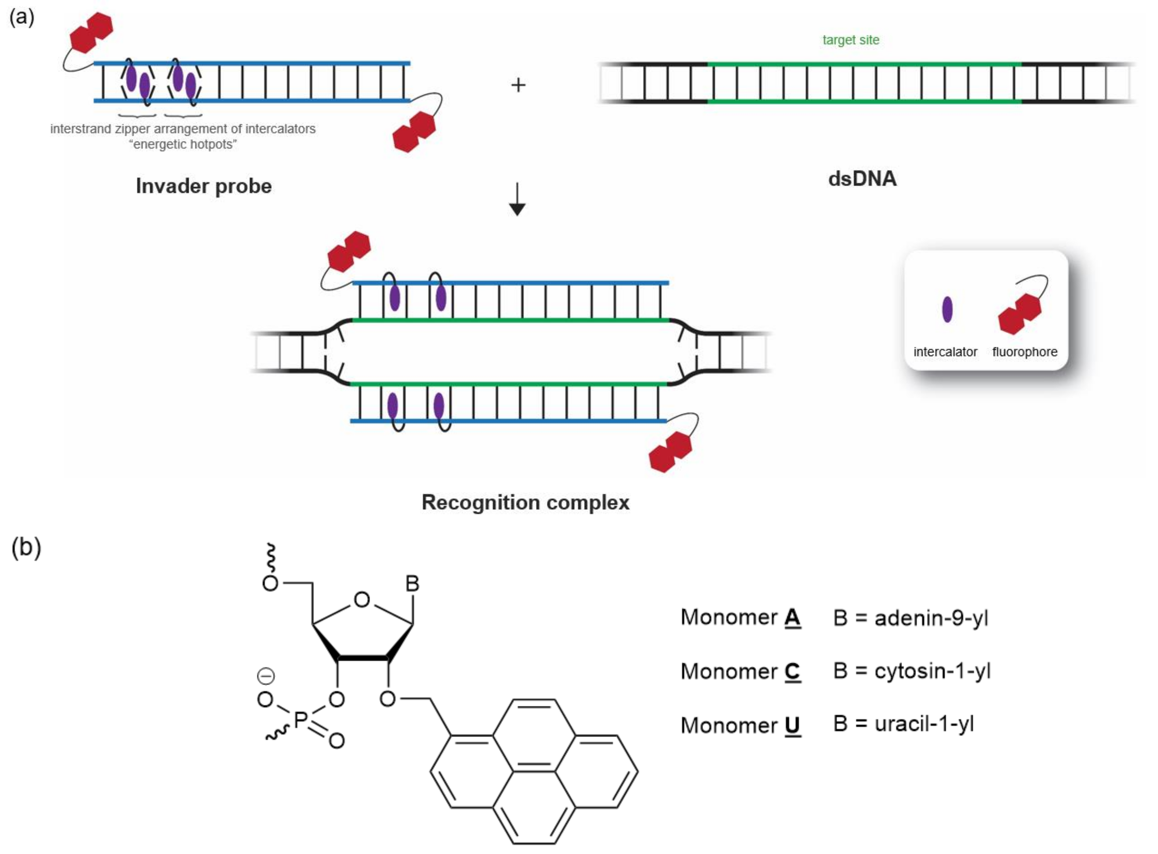 Molecules 28 00127 g001 Molecules 28 00127 g001