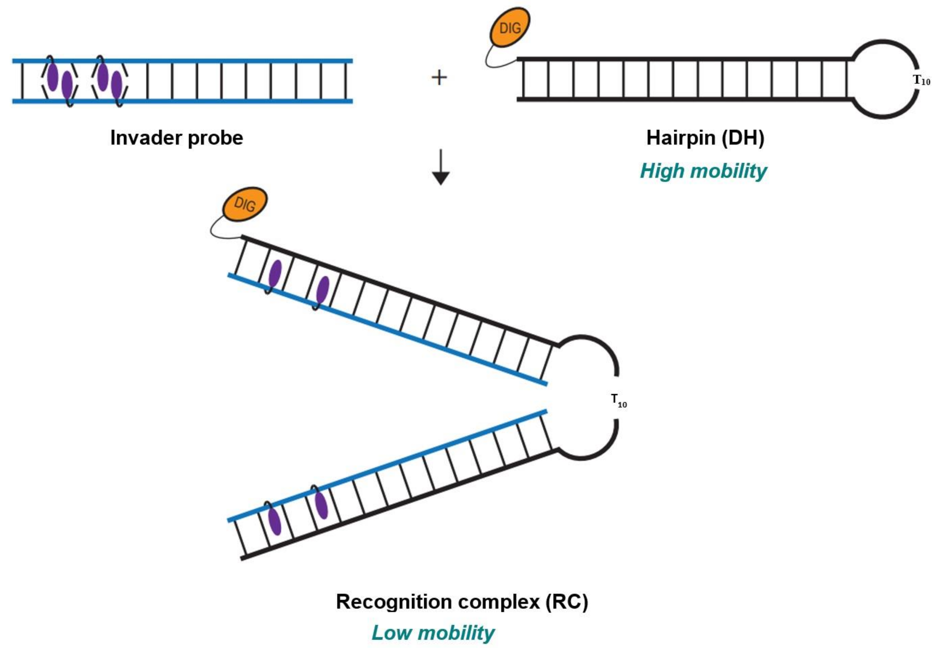 Molecules 28 00127 g002 Molecules 28 00127 g002