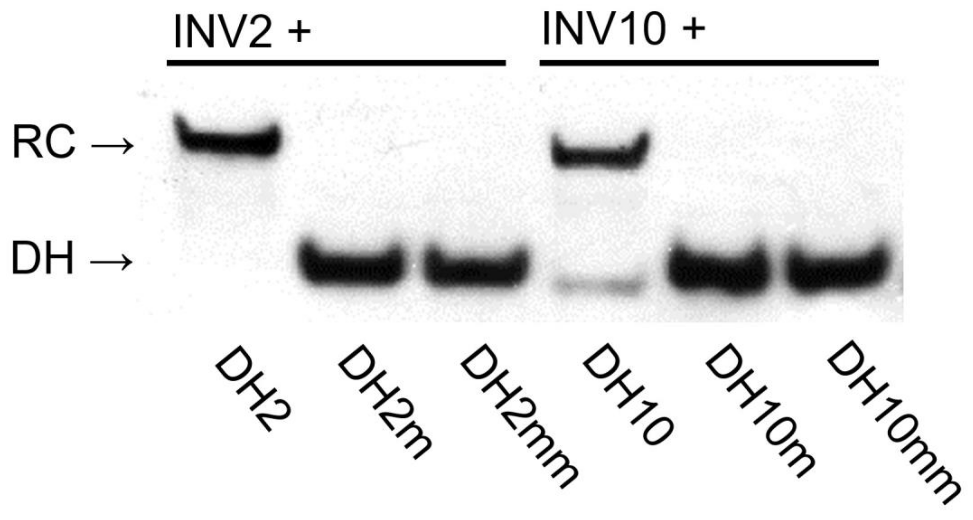 Molecules 28 00127 g005 Molecules 28 00127 g005