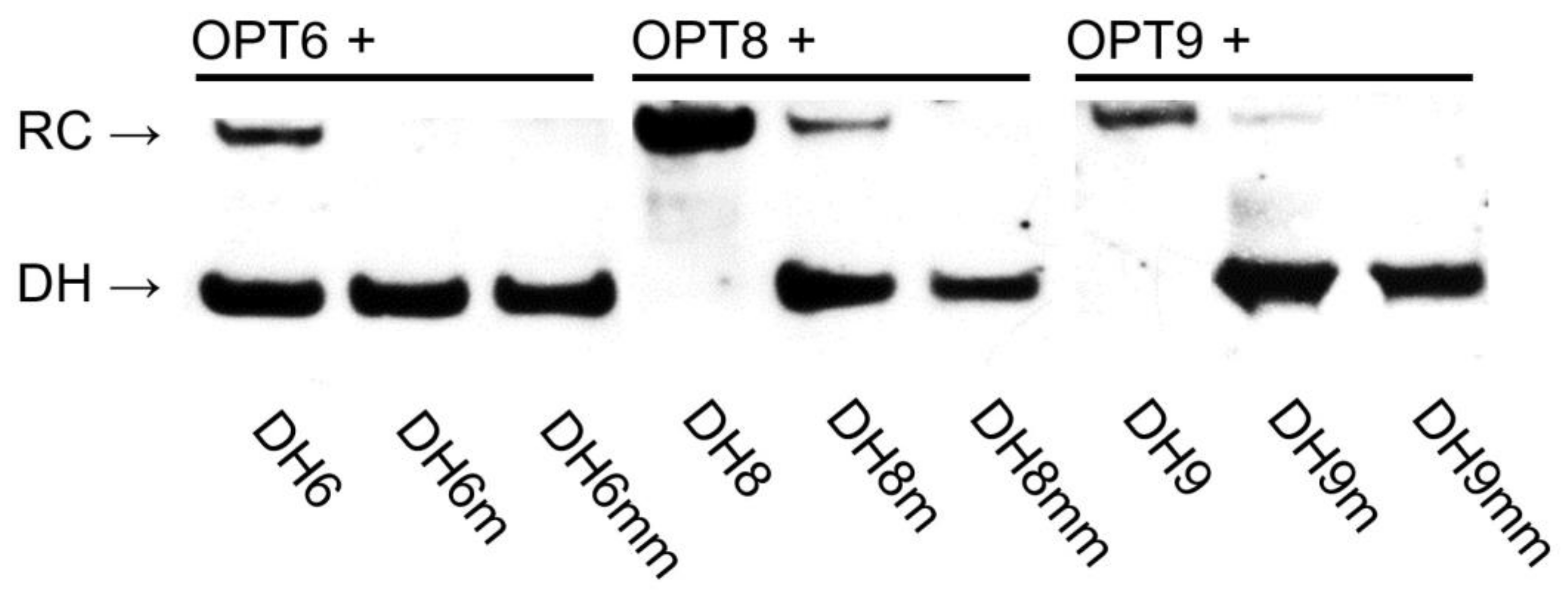 Molecules 28 00127 g008 Molecules 28 00127 g008