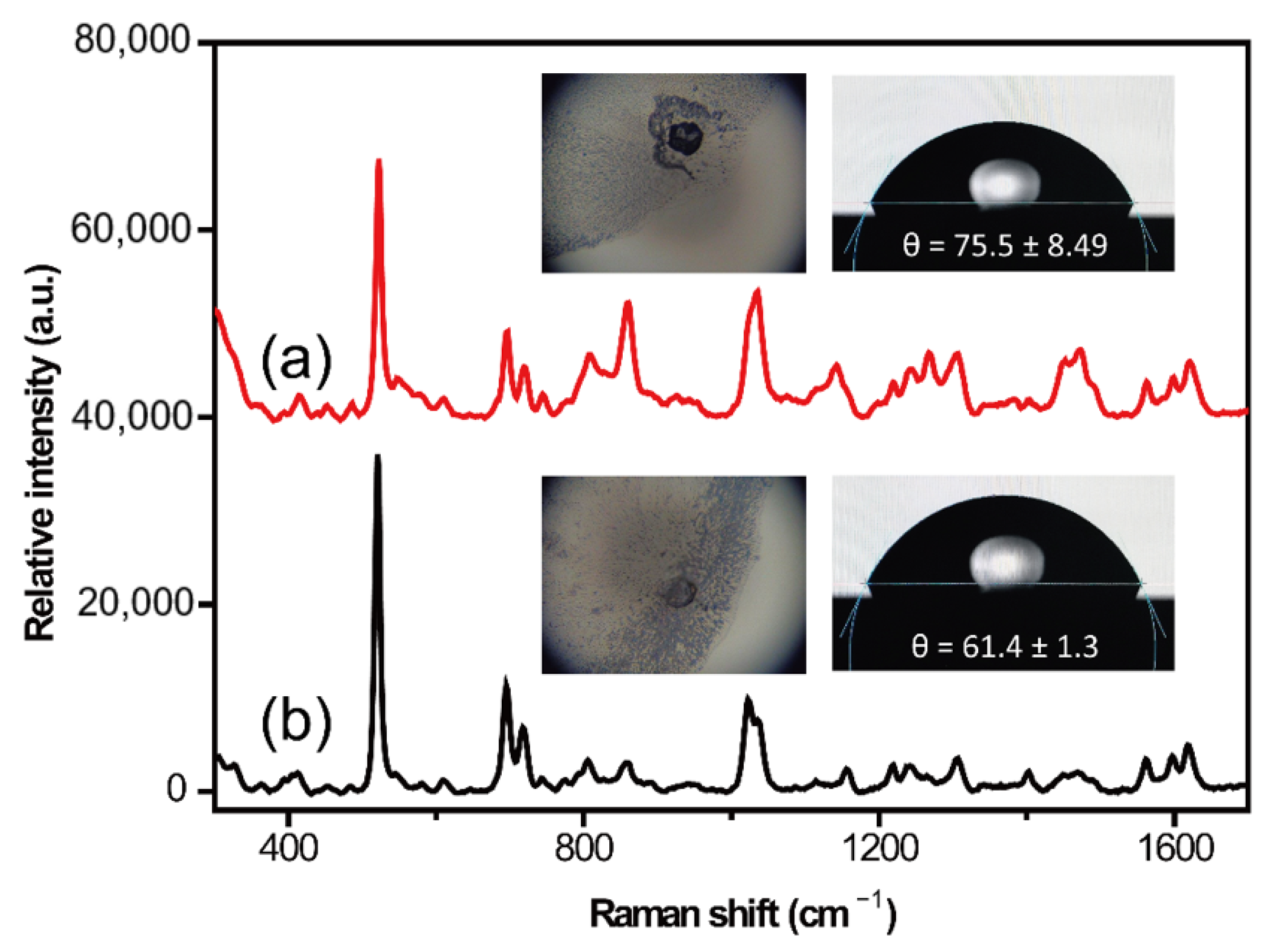Molecules 28 00128 g001