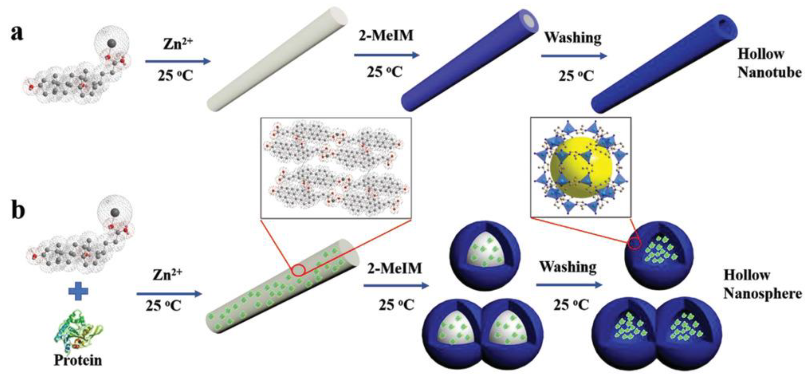 Molecules 28 00144 g003