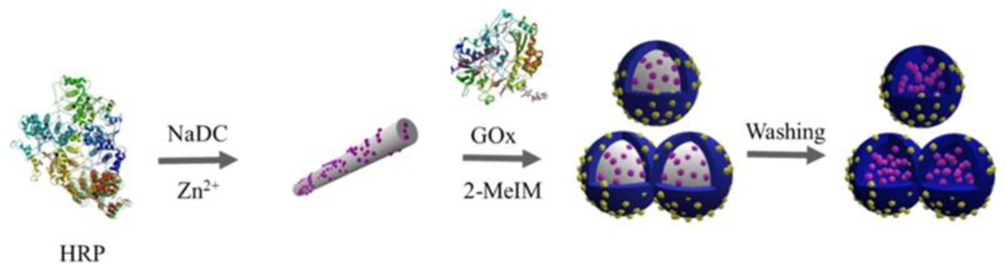Molecules 28 00144 g004