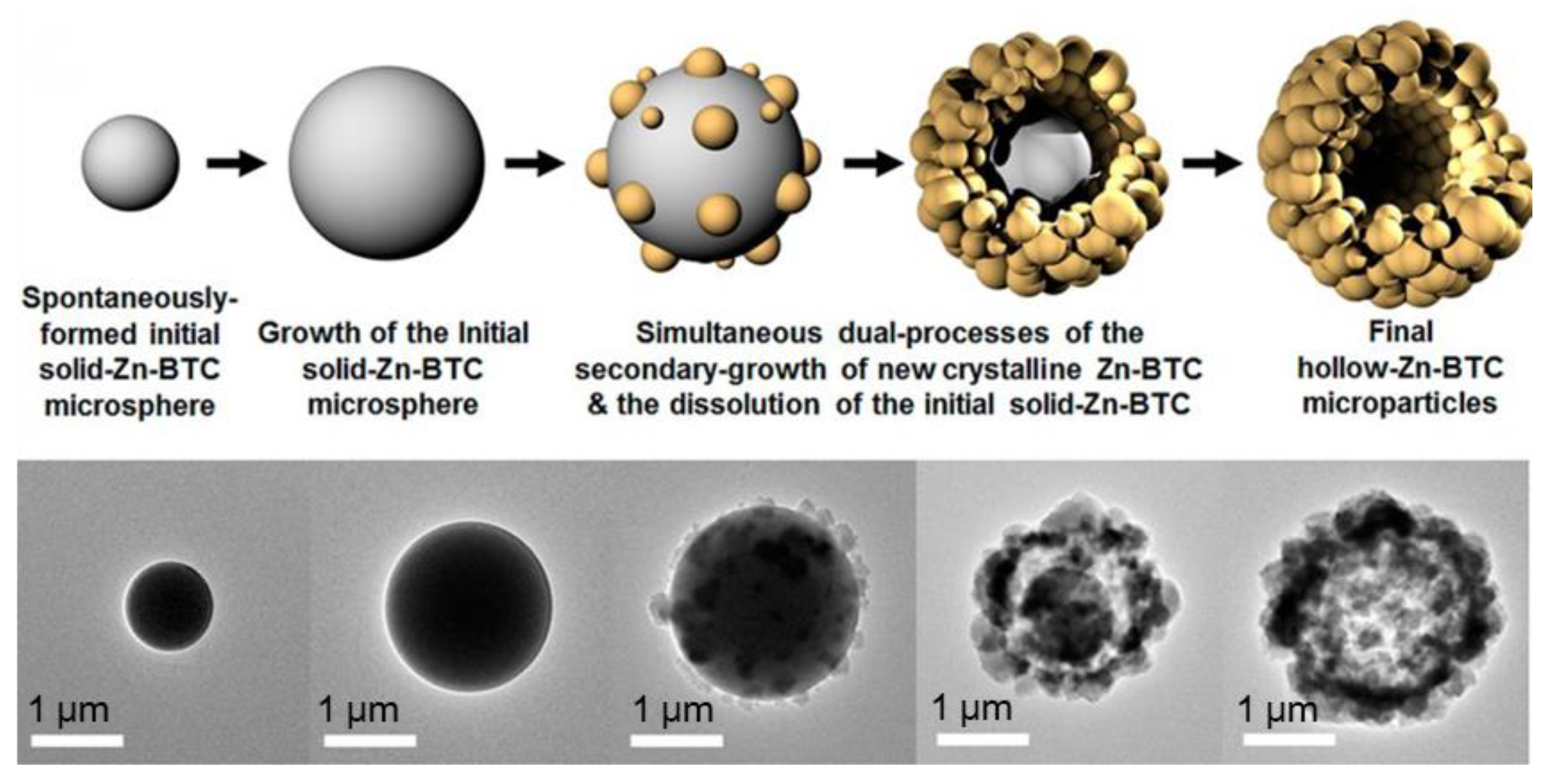 Molecules 28 00144 g005