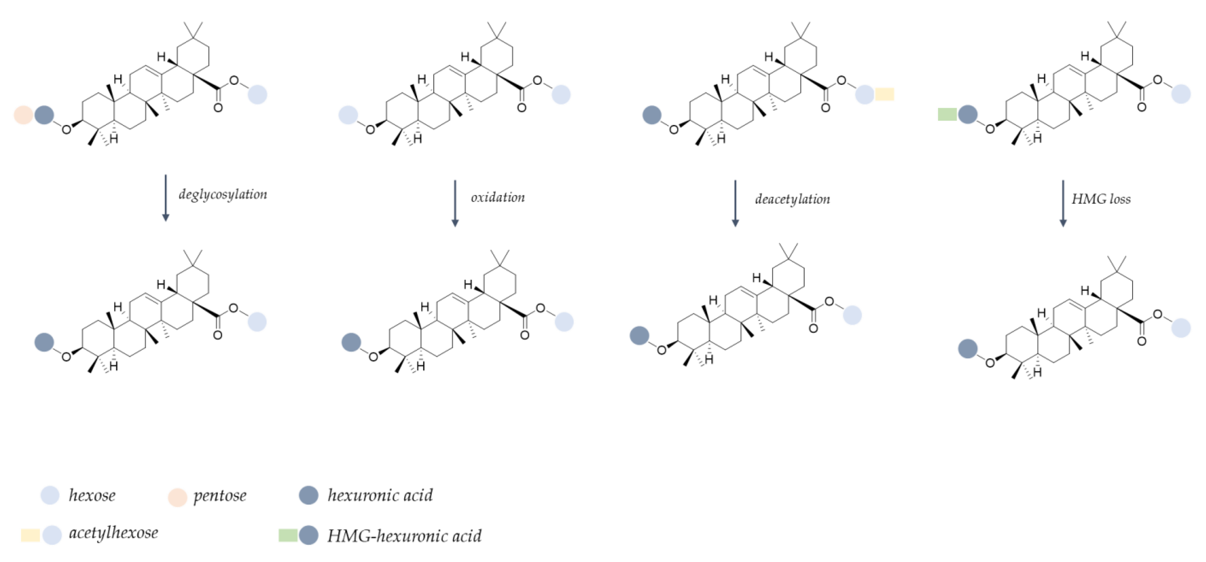 Molecules 28 00199 g006 Molecules 28 00199 g006