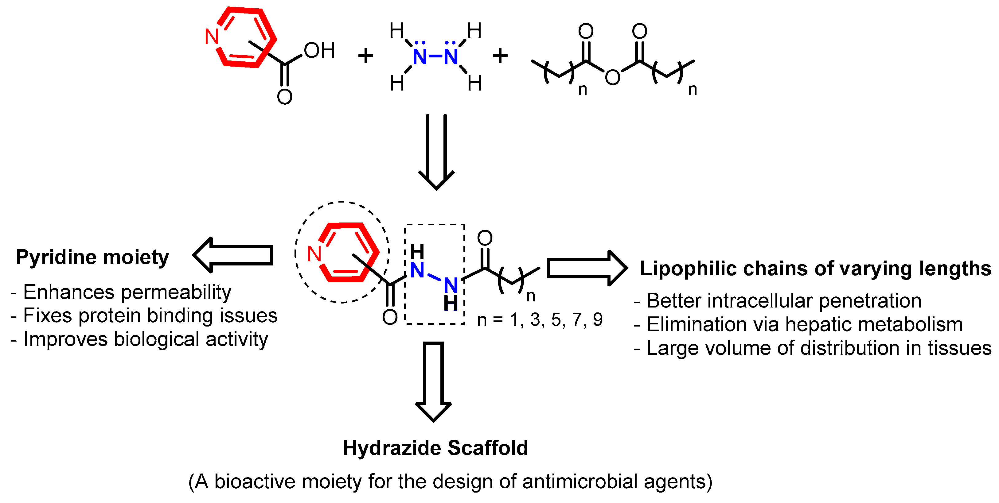 Molecules 28 00212 g006 Molecules 28 00212 g006