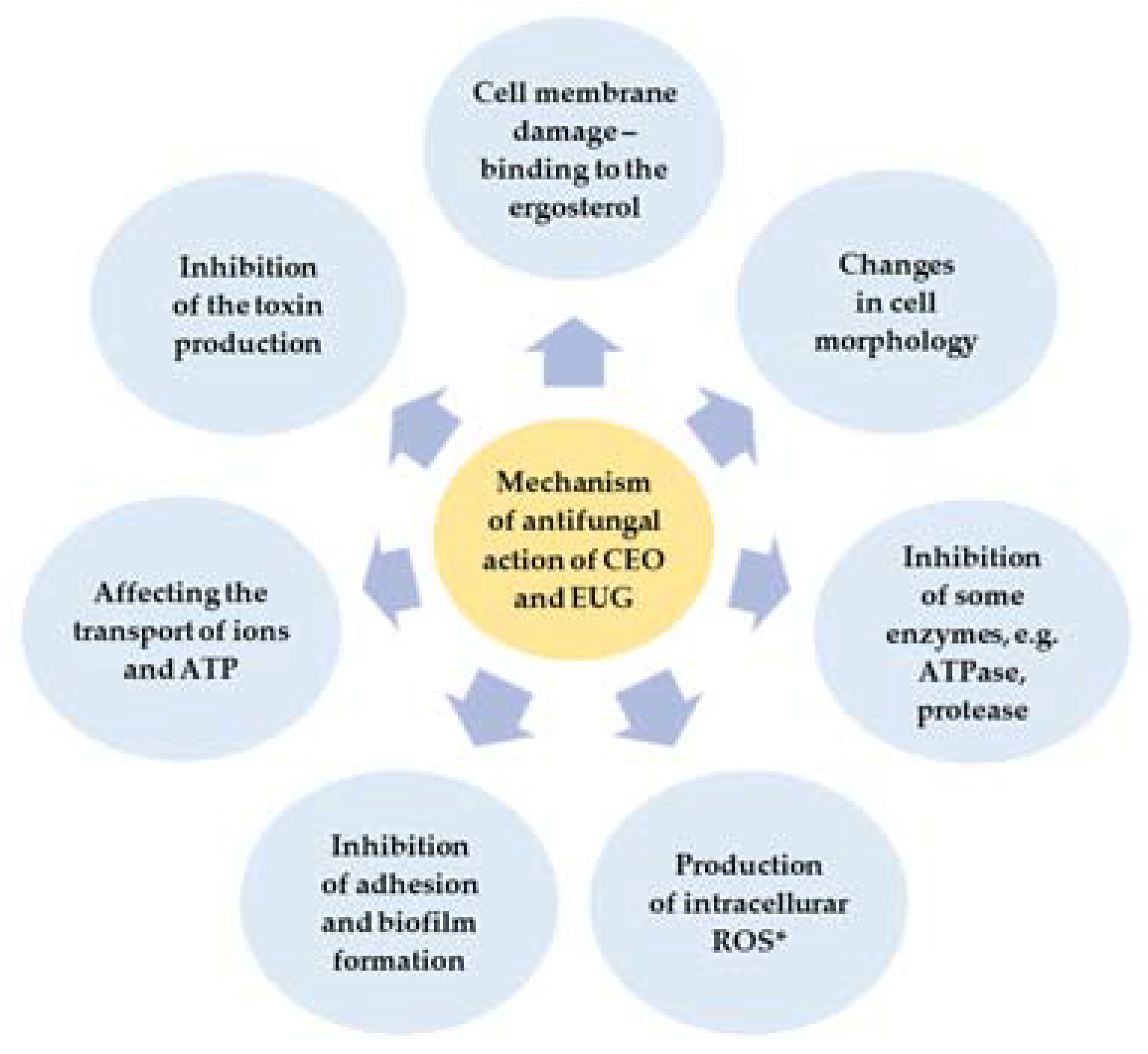 Molecules 28 00215 g005 Molecules 28 00215 g005