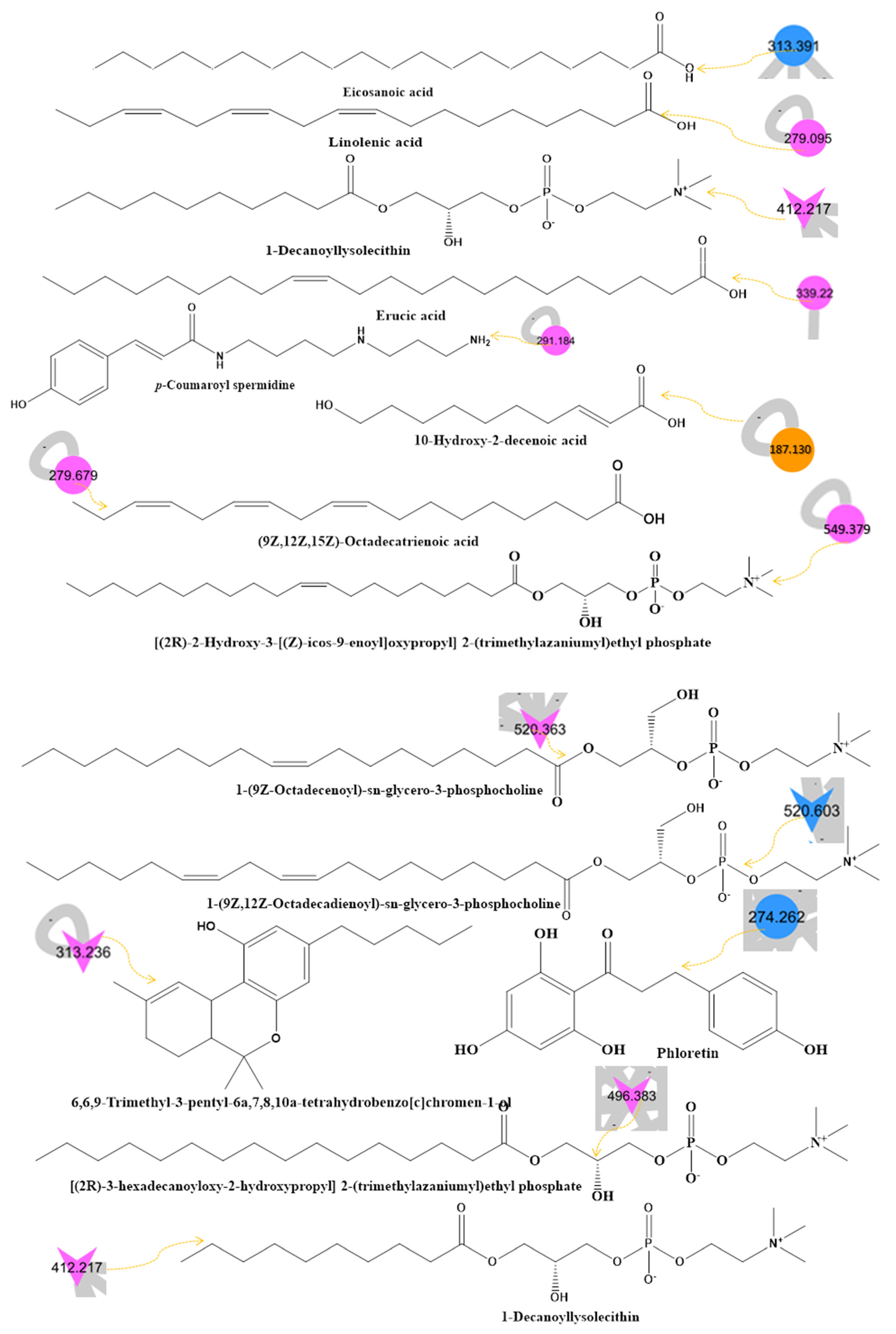 Molecules 28 00227 g001d Molecules 28 00227 g001d